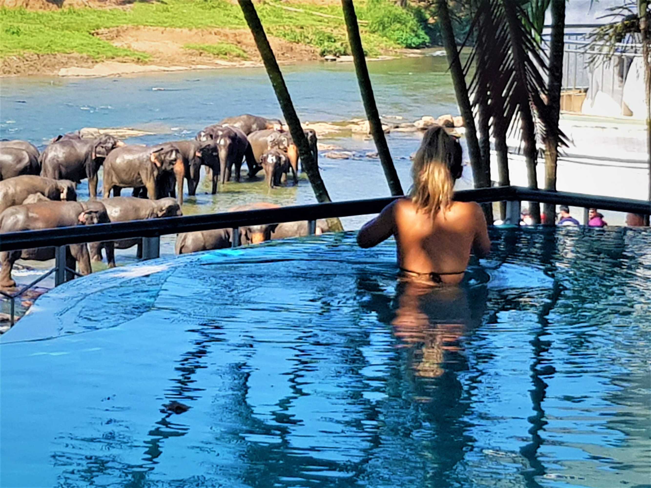 Gift card for Hotel Elephant Park - New Deal! Half Off Airport Pickups Available