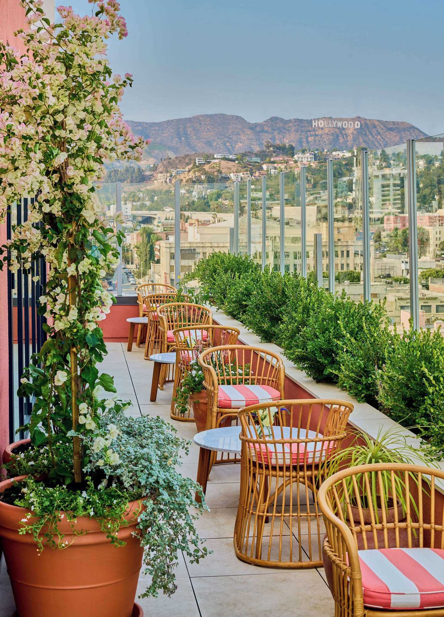 Gift card for Thompson Hollywood, by Hyatt Gift card for Thompson Hollywood, by Hyatt