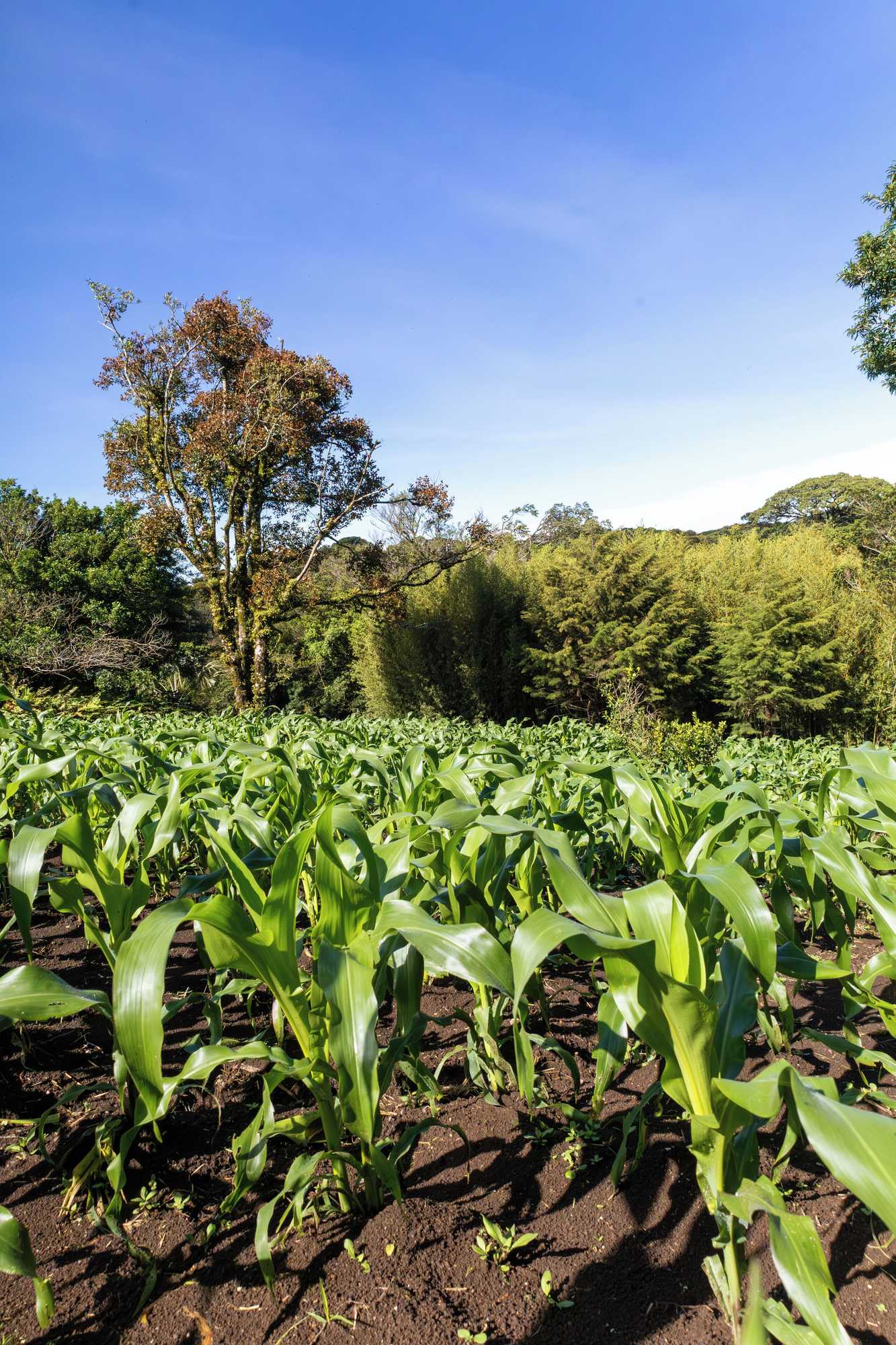 Gift card for Fondavela Hotel