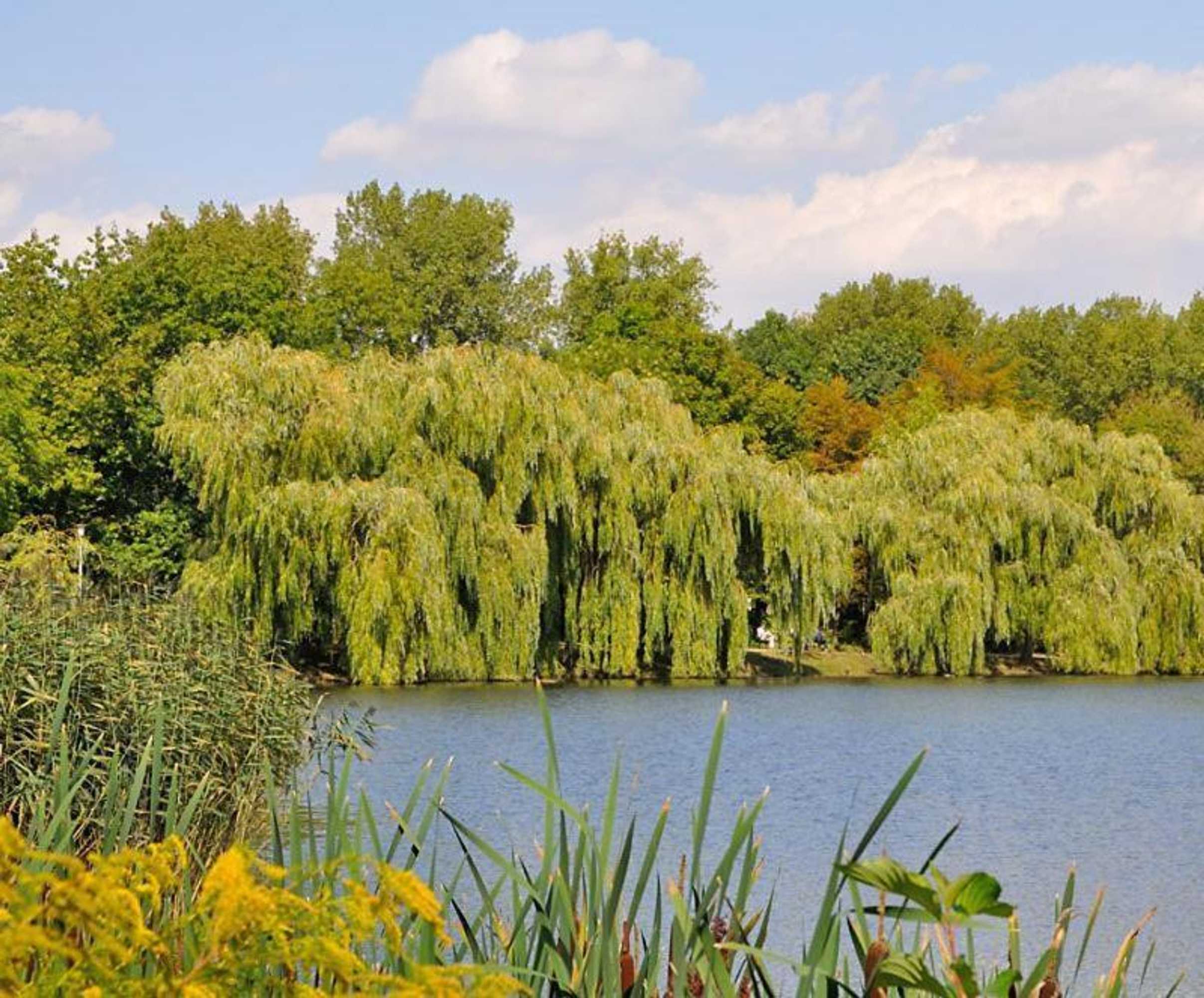 Gift card for Hotel Am Park