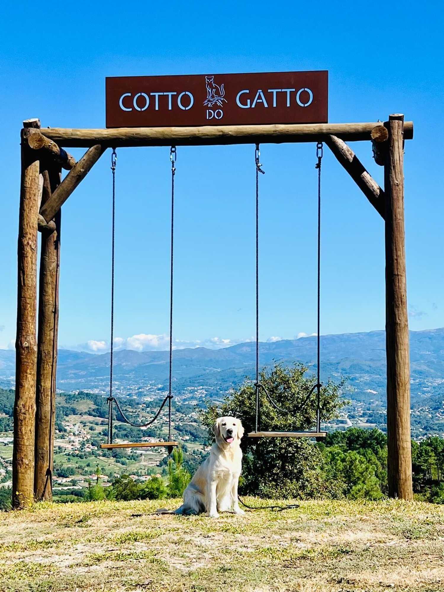 Gift card for Hotel Cotto do Gatto Gift card for Hotel Cotto do Gatto