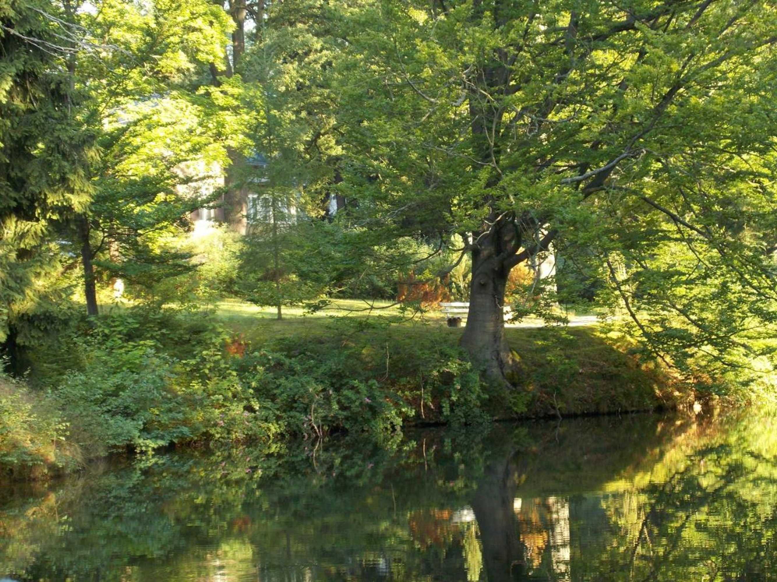 Gift card for Kurheim Haus Linde