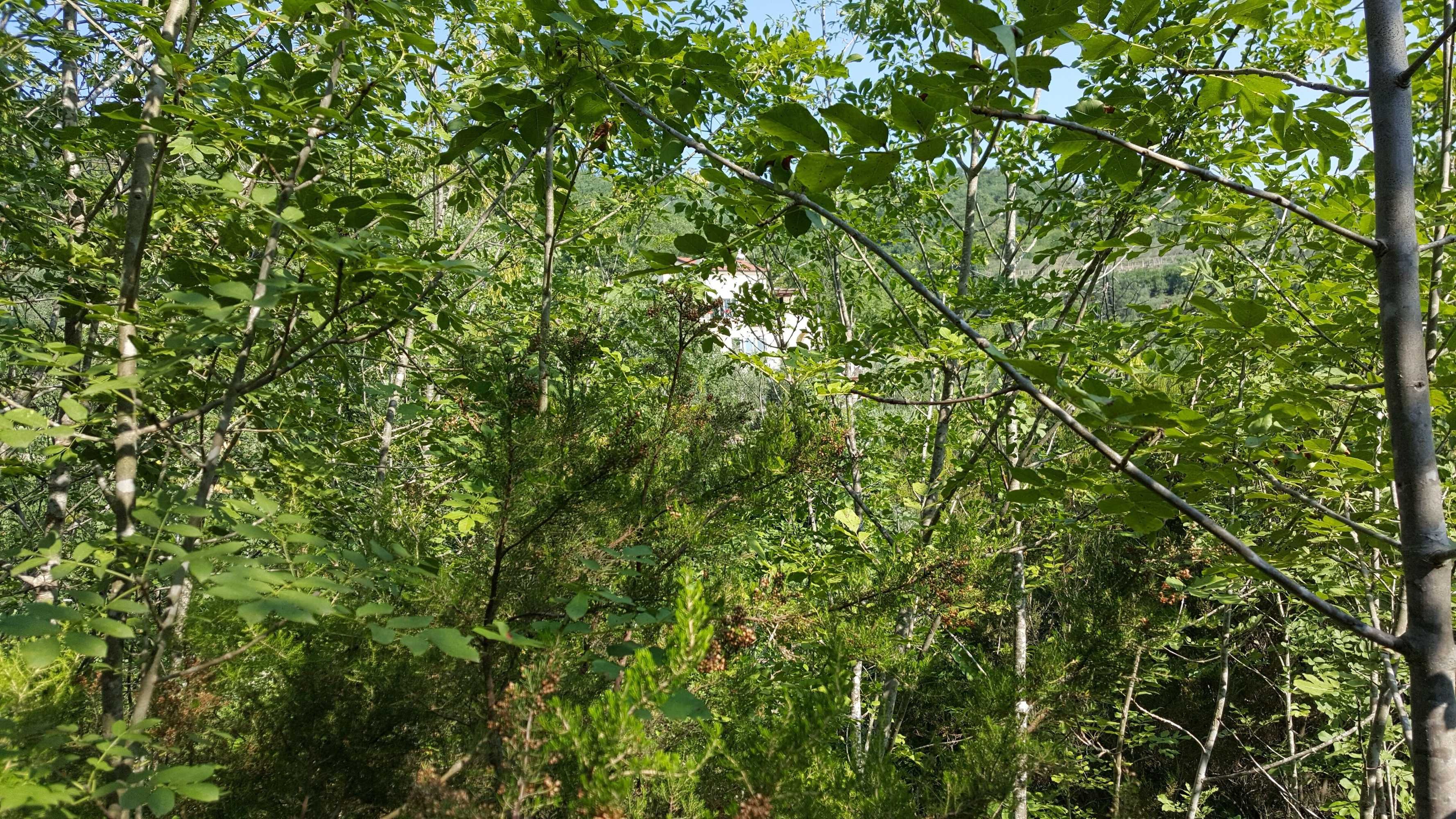 Gift card for Joie de Vivre