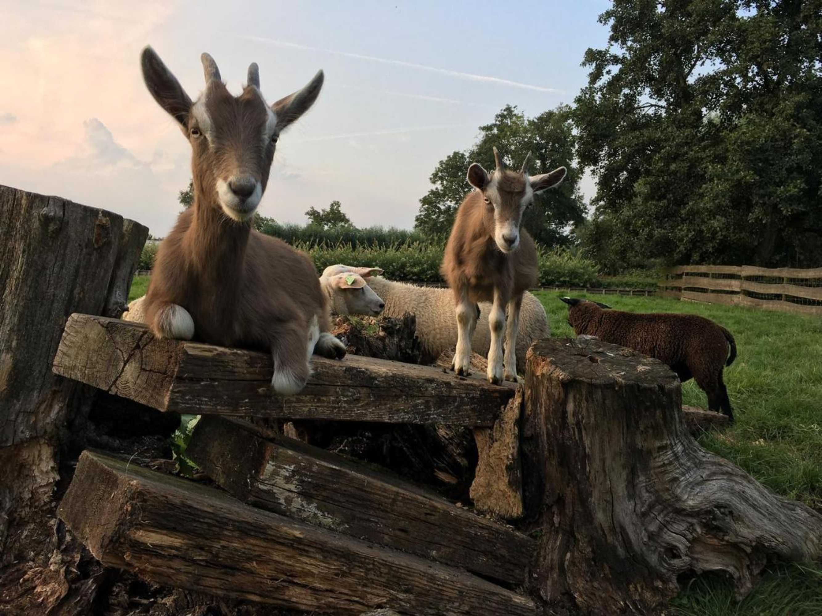 Gift card for Bed & Breakfast Pax Tibi