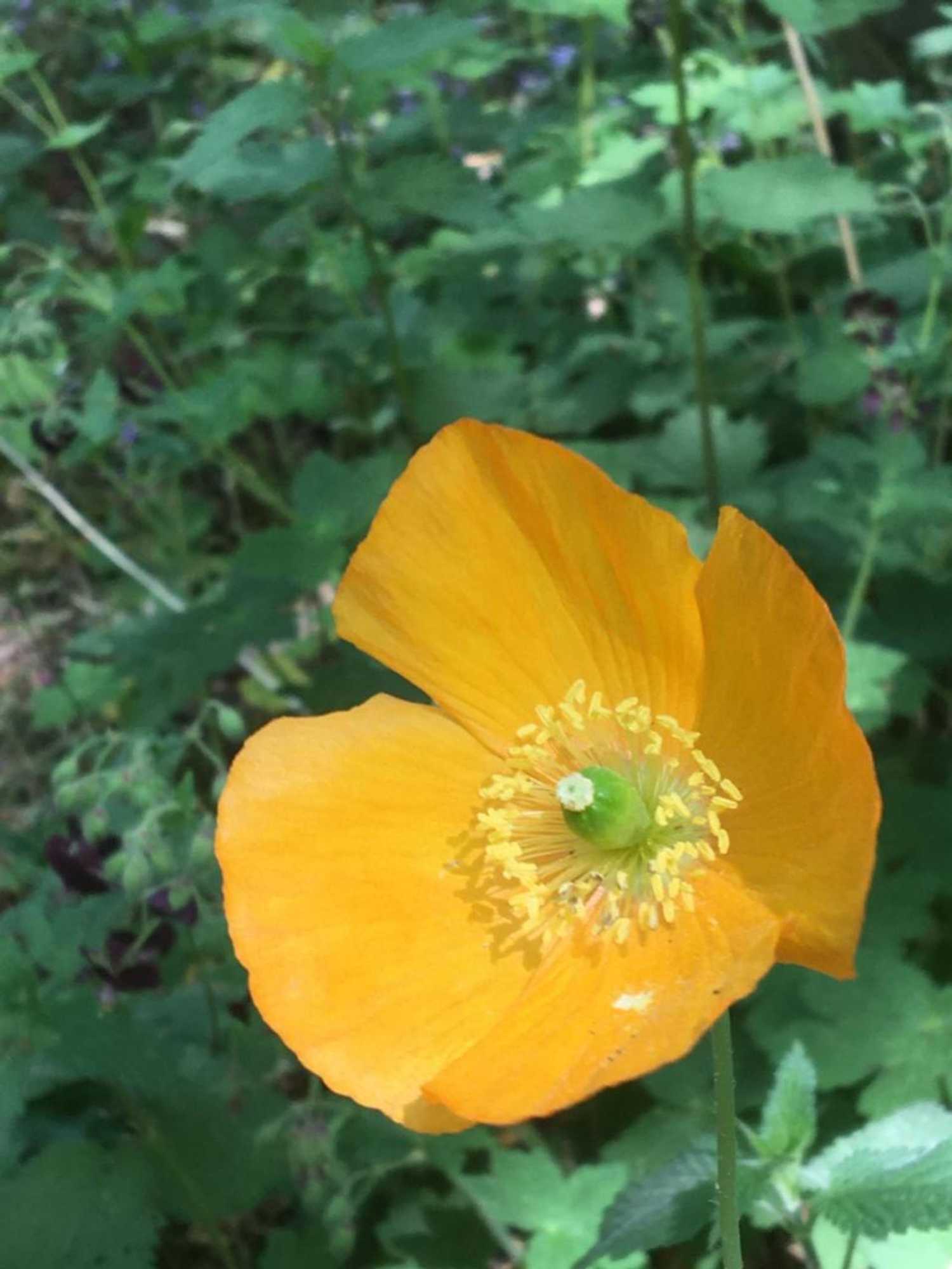 Gift card for 't Aarthuis