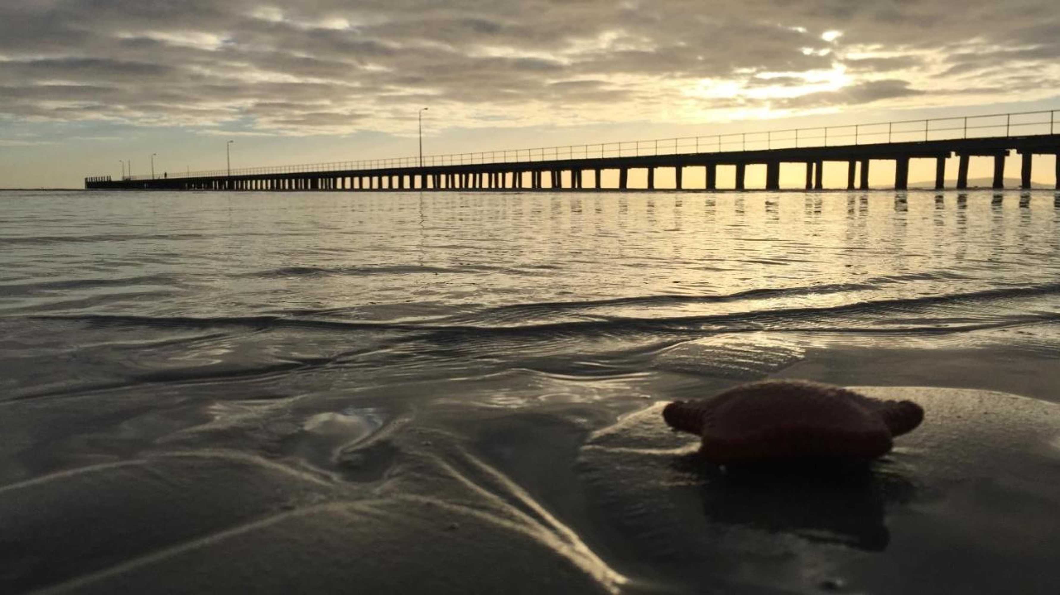 Gift card for Aquabelle Apartments Gift card for Aquabelle Apartments