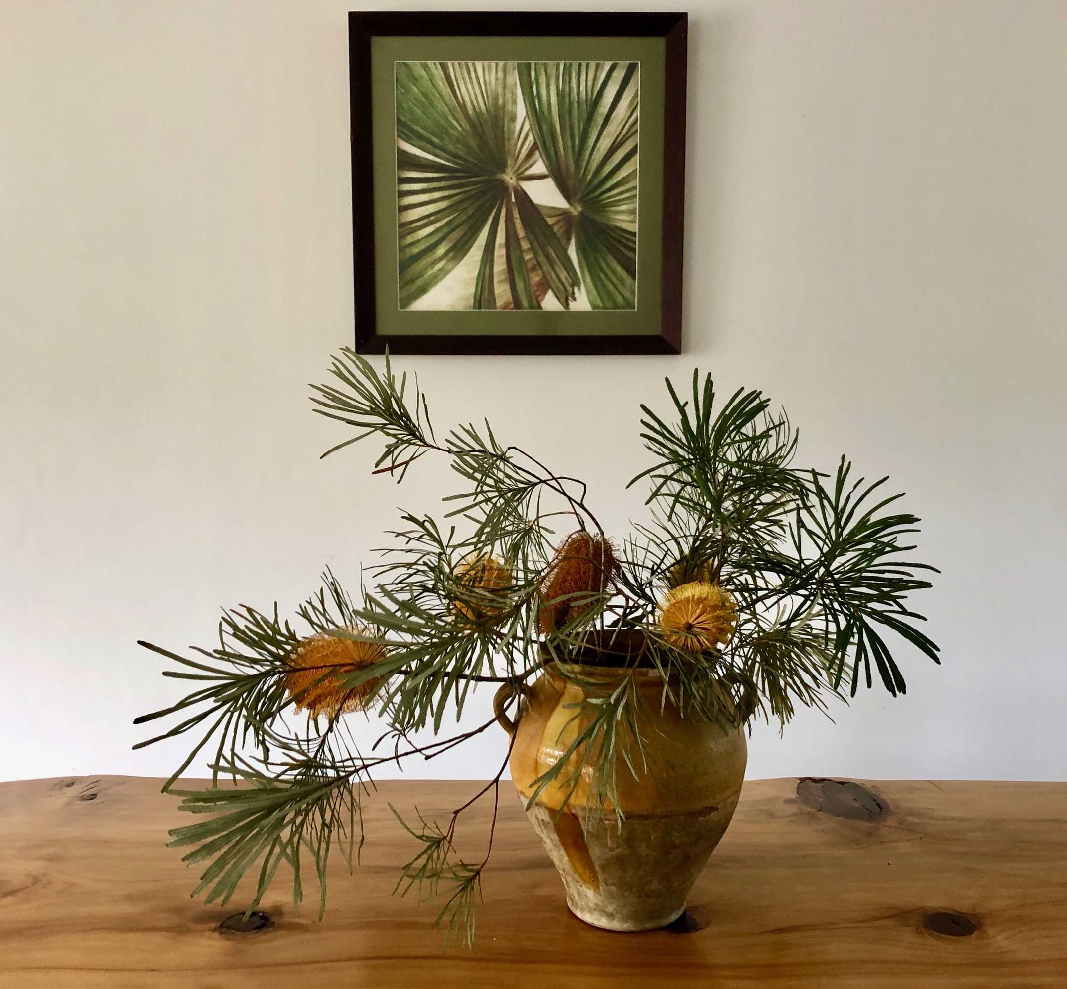 Gift card for Haven Tropicana