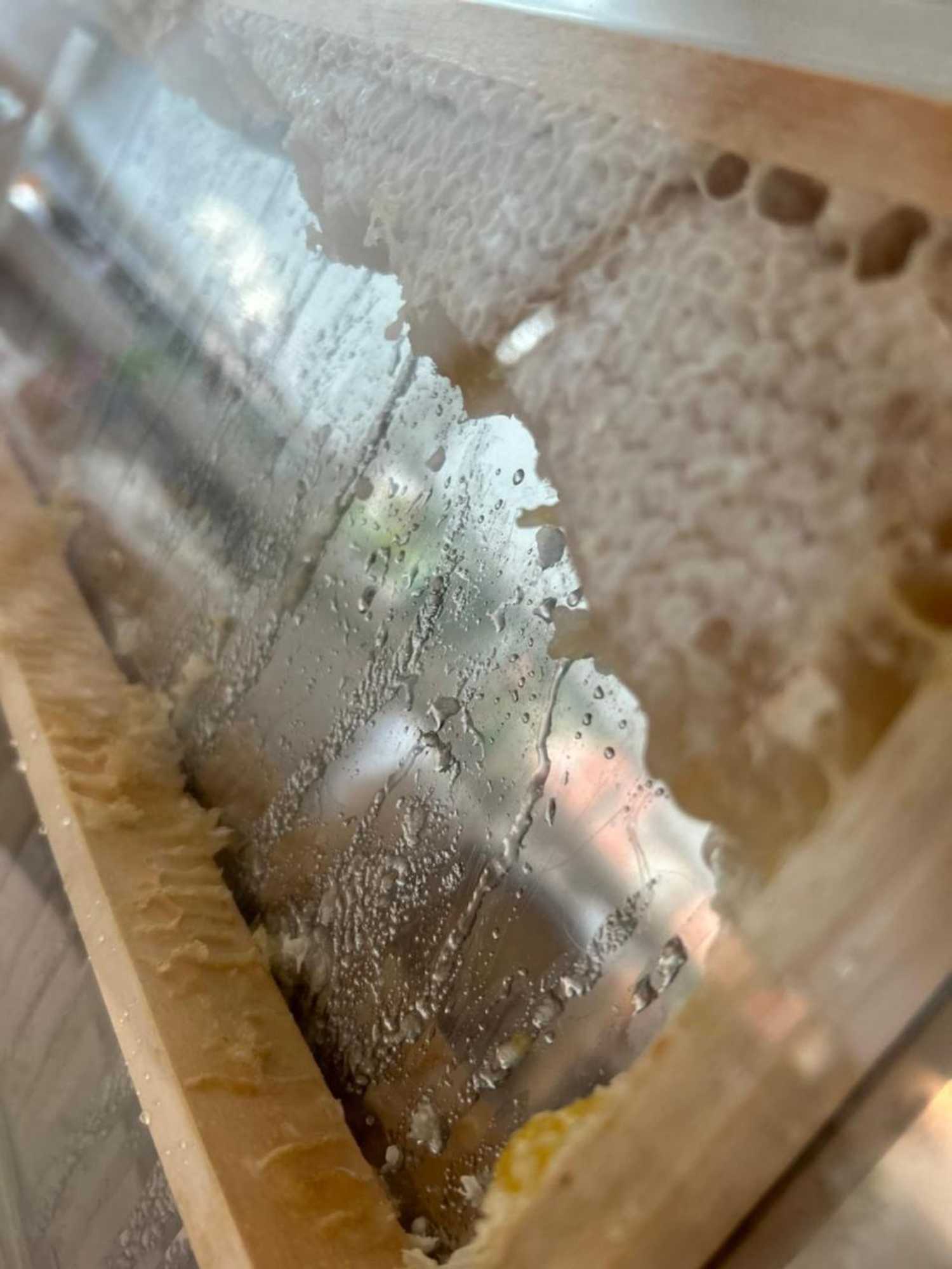 Gift card for Hotel Mirafiori