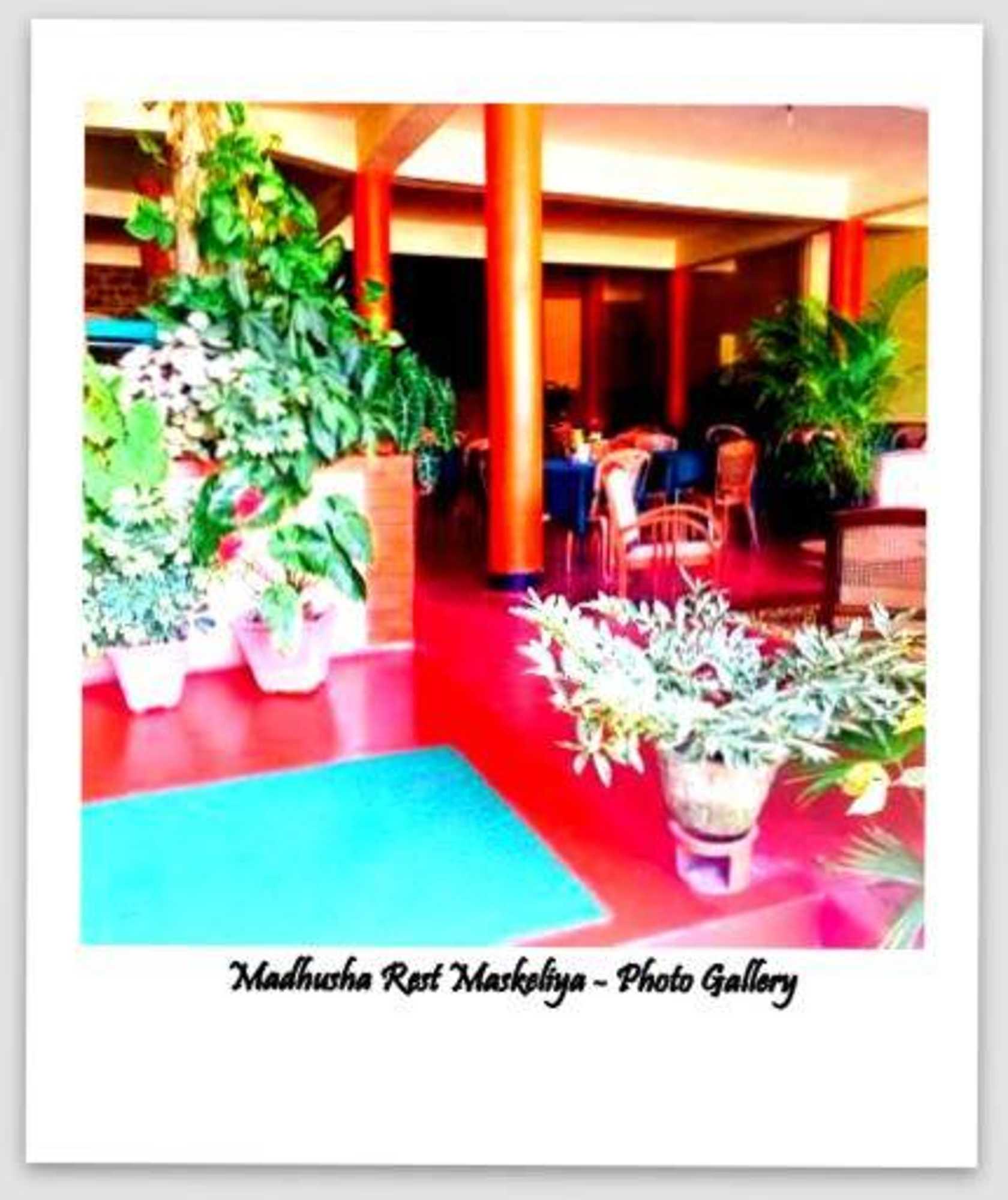 Gift card for Madhusha Rest
