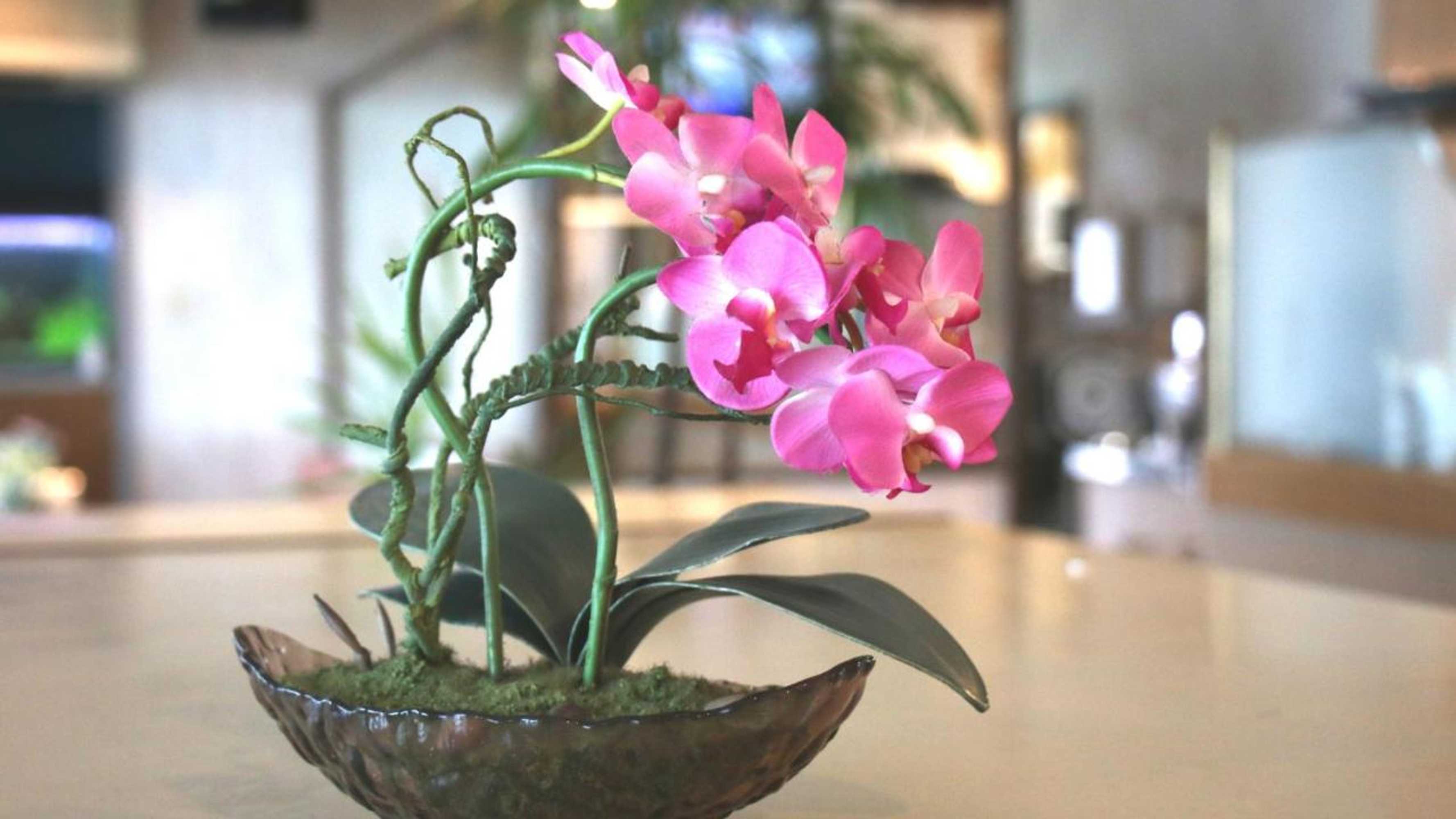 Gift card for Business Hotel Furusato