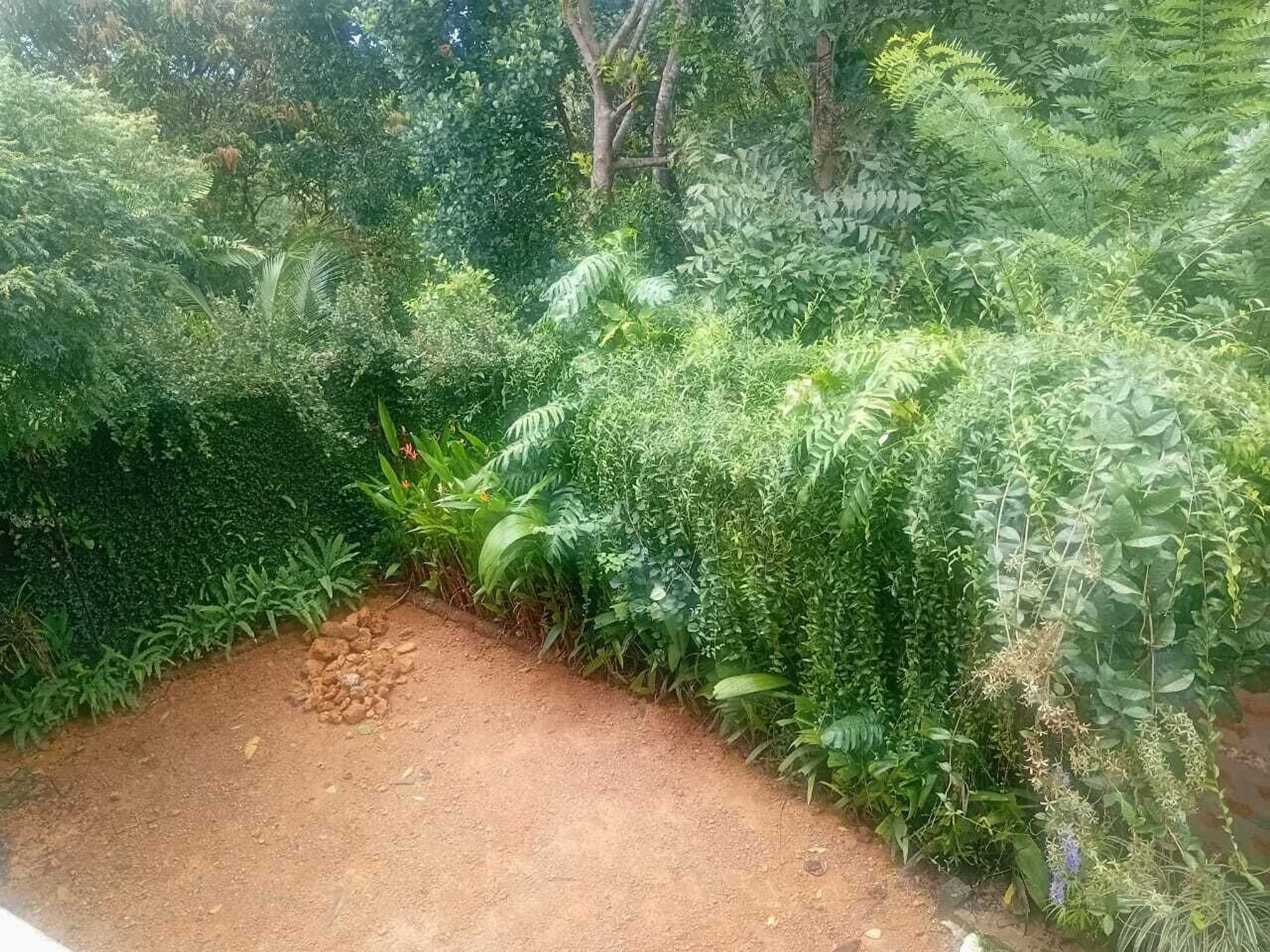 Gift card for Yoho Velapura River Garden