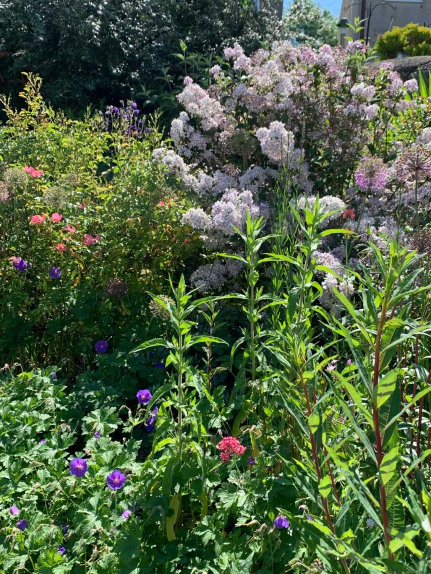 Gift card for The Fromeway