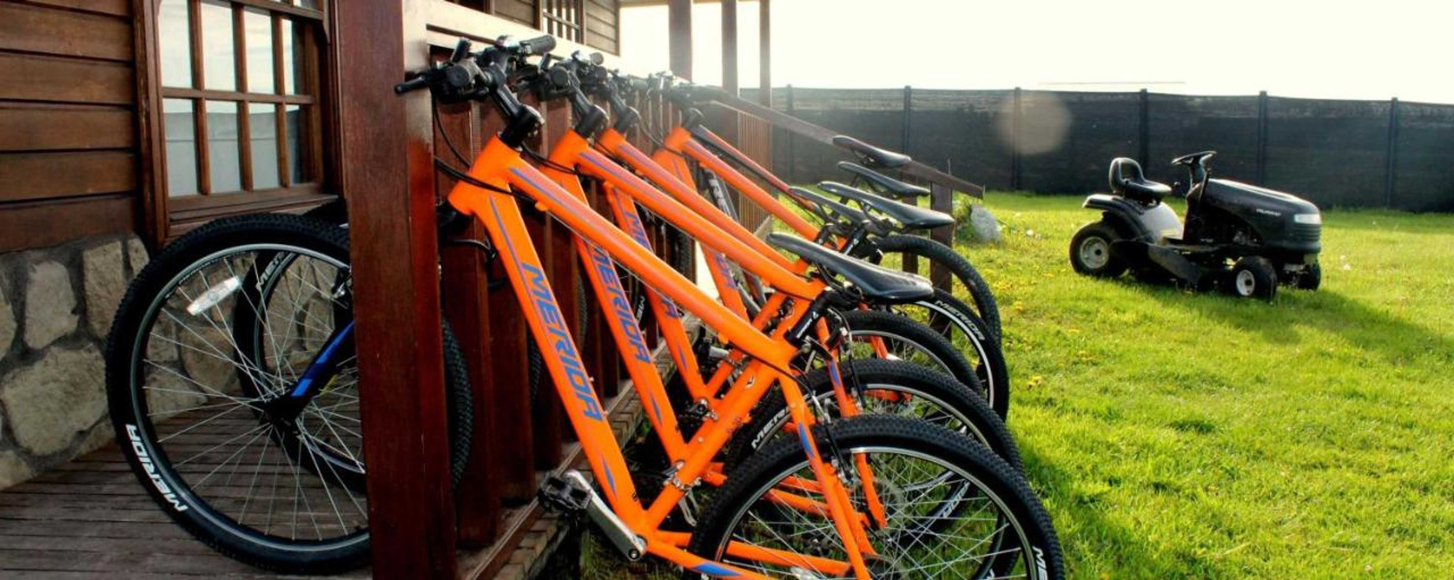 Gift card for Dorotea Vista