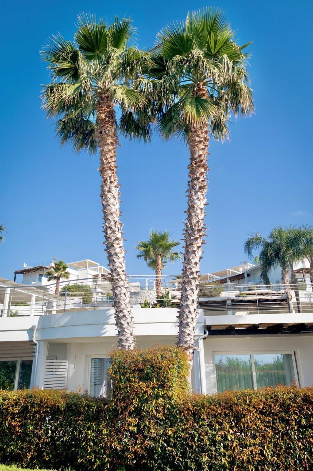 Gift card for Infinity Resort Tropea Gift card for Infinity Resort Tropea