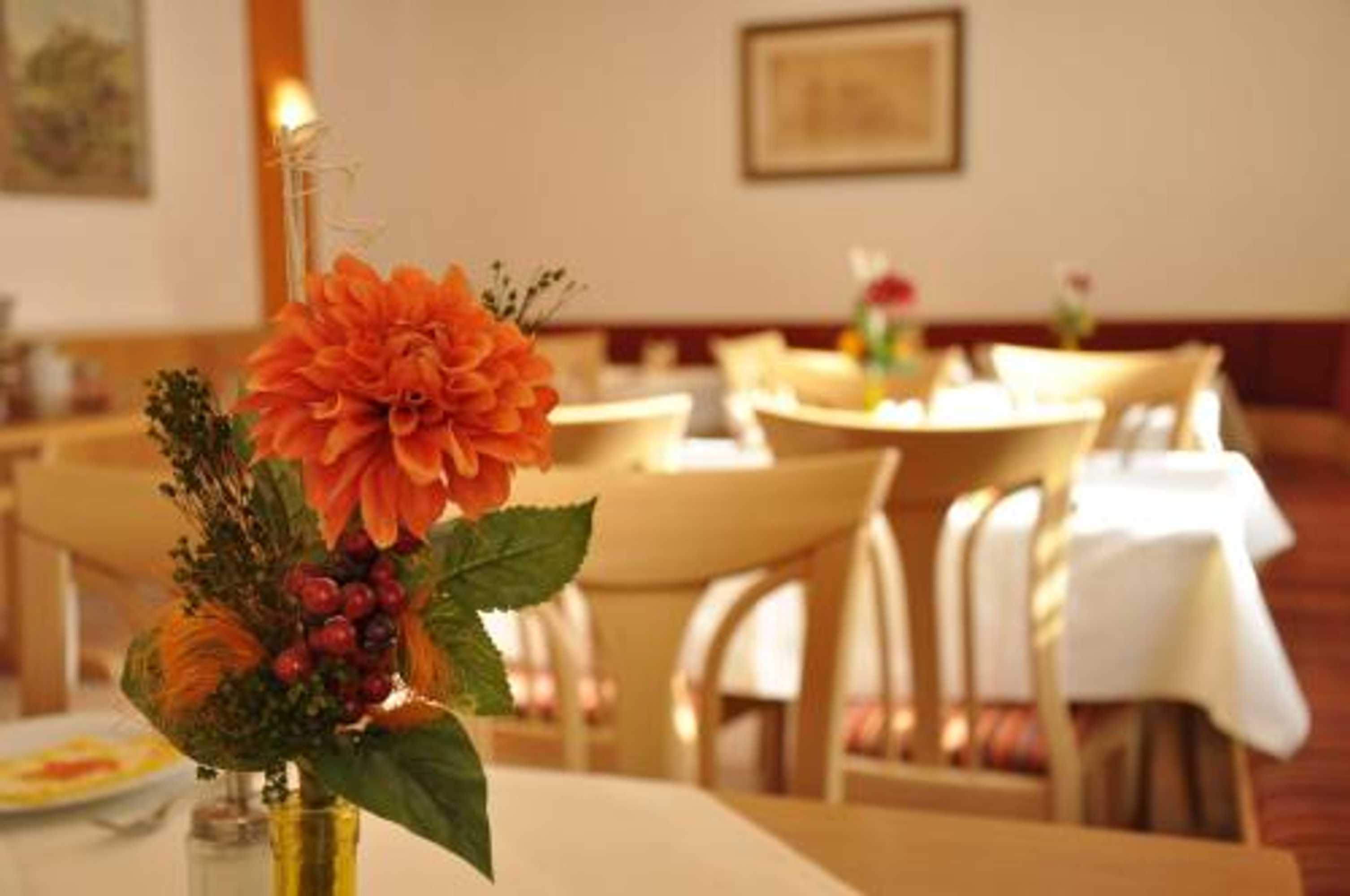 Gift card for Hotel Gasthof Zum Goldenen Lamm Gift card for Hotel Gasthof Zum Goldenen Lamm