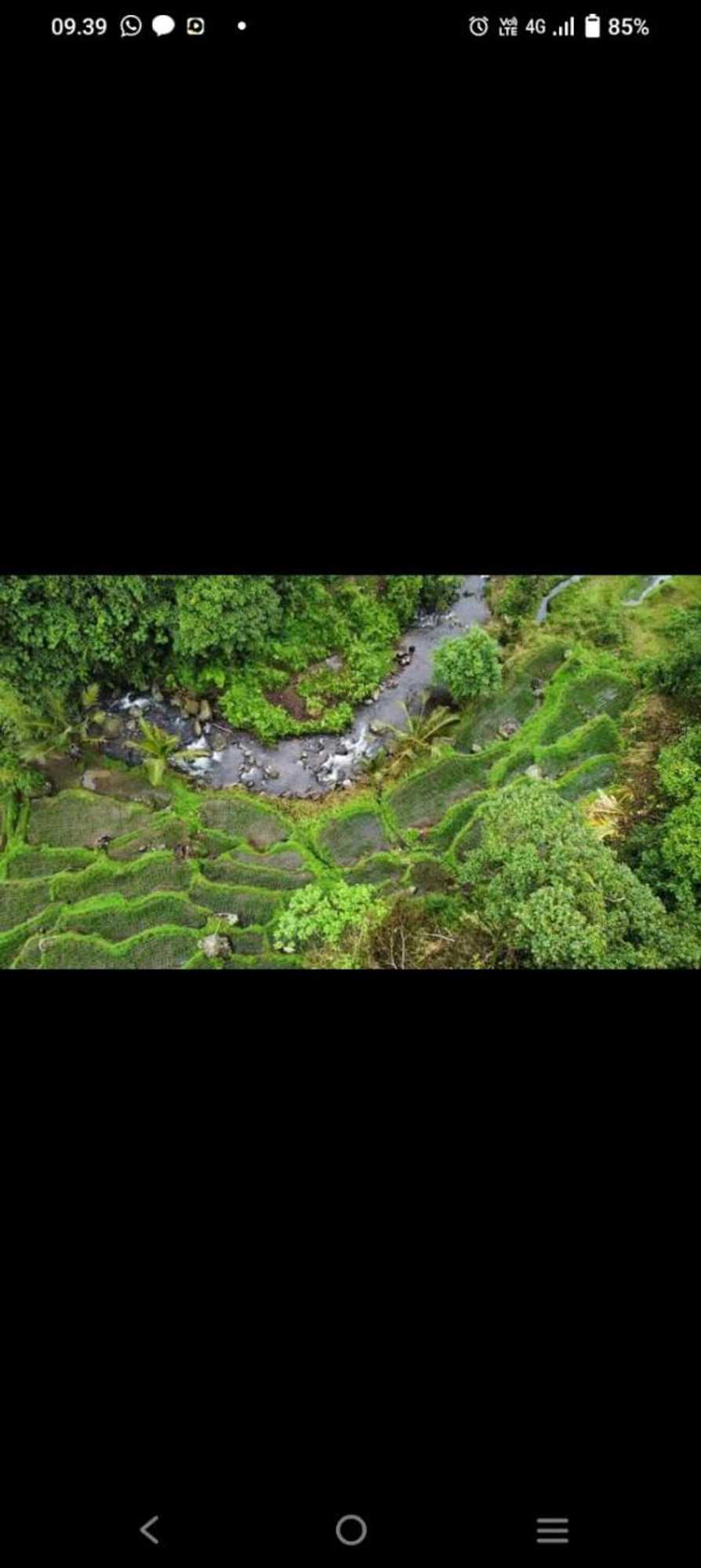 Gift card for Bali Mountain Forest Cabin