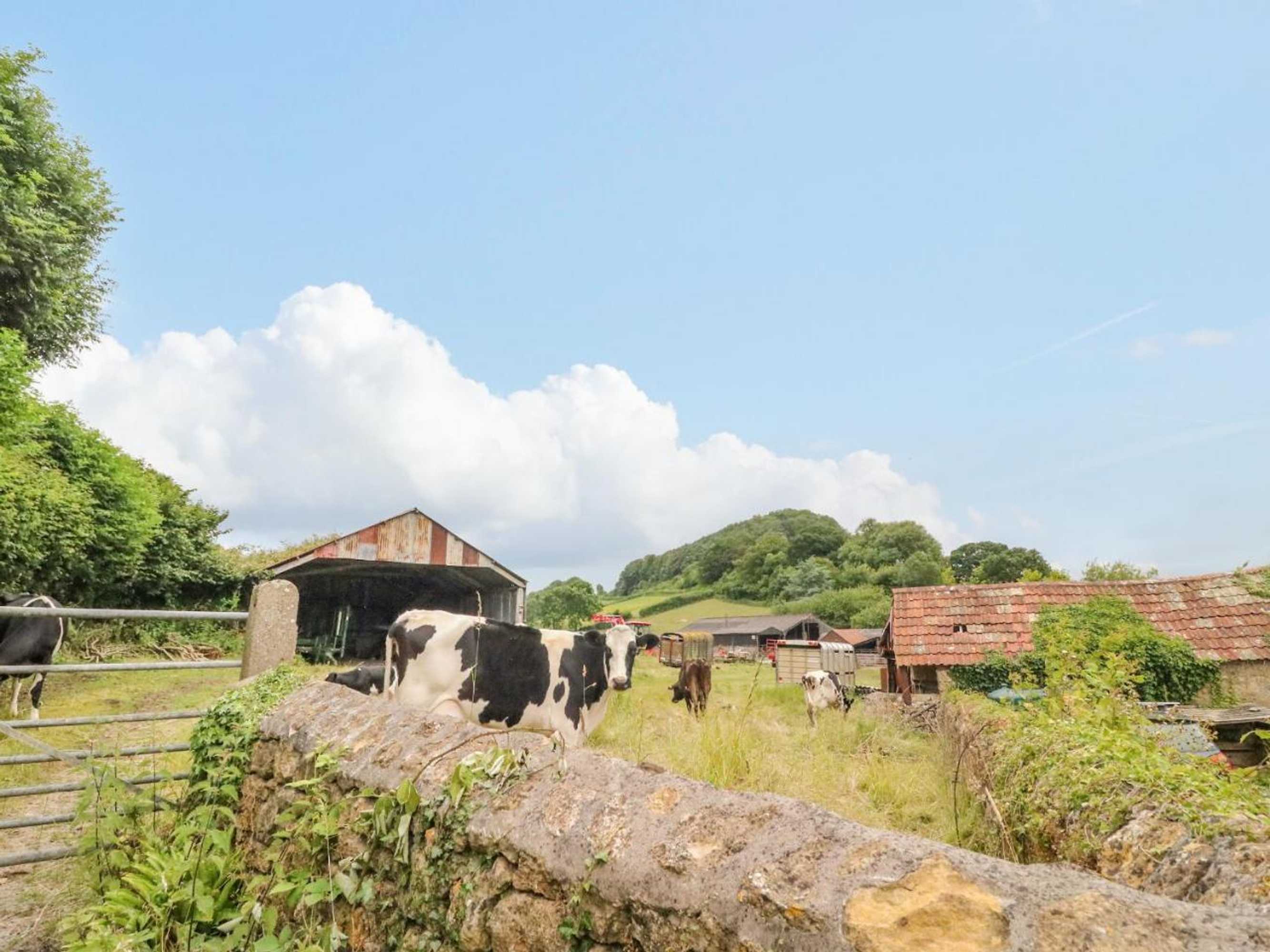 Gift card for Pippins Loders