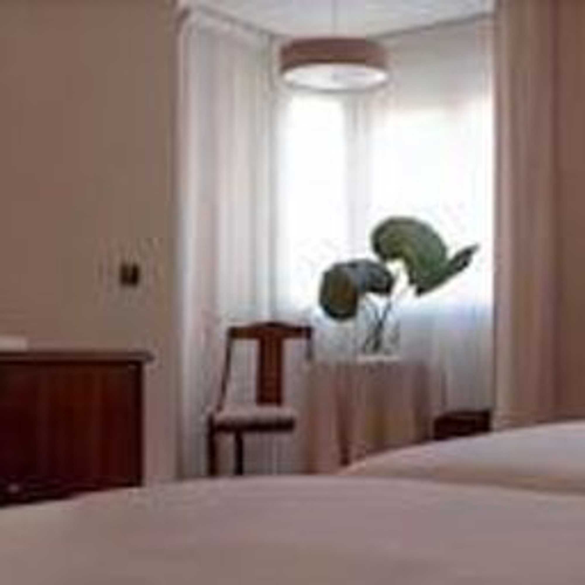 Gift card for Hotel San Pedro Gift card for Hotel San Pedro