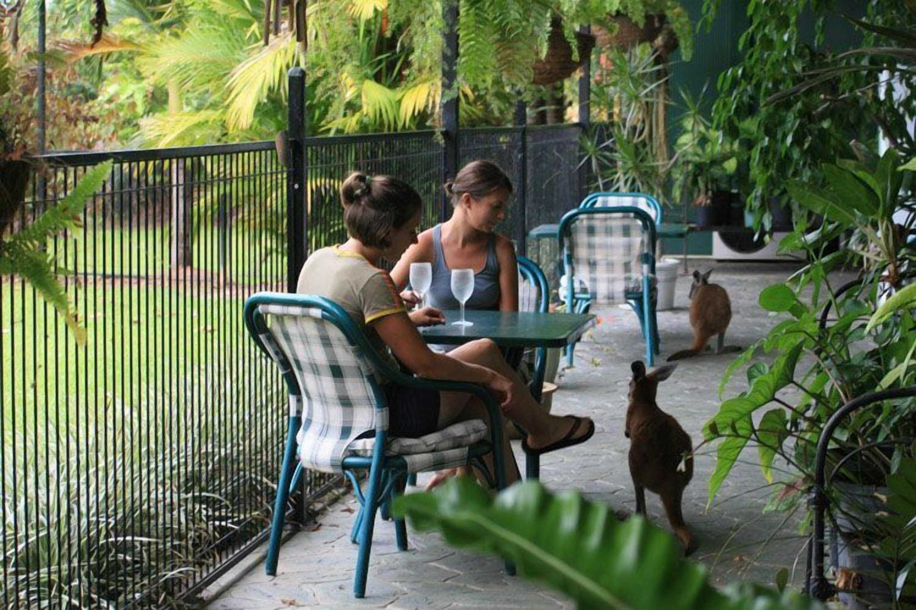 Gift card for Daintree Wild Zoo & B&b Gift card for Daintree Wild Zoo & B&b