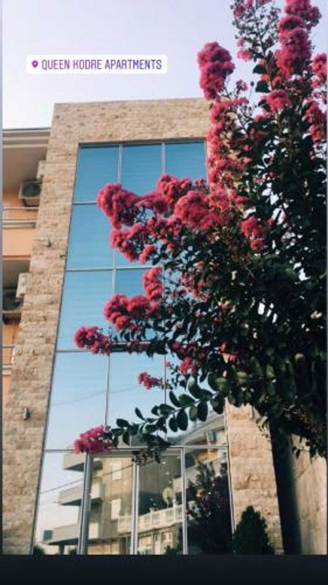 Gift card for Queen Kodre Apartments Gift card for Queen Kodre Apartments