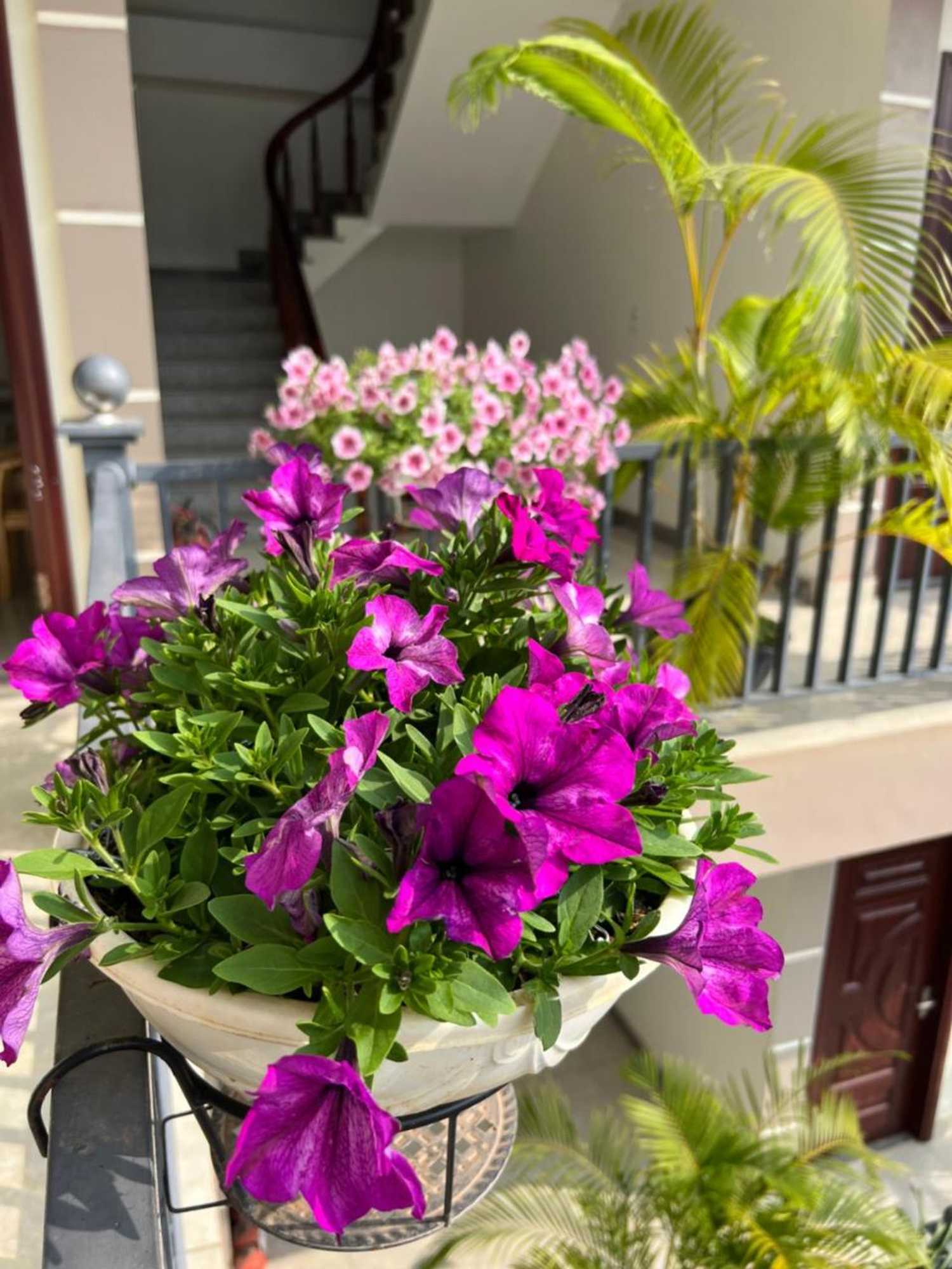 Gift card for Nhà Nghỉ Ngọc Long Gift card for Nhà Nghỉ Ngọc Long