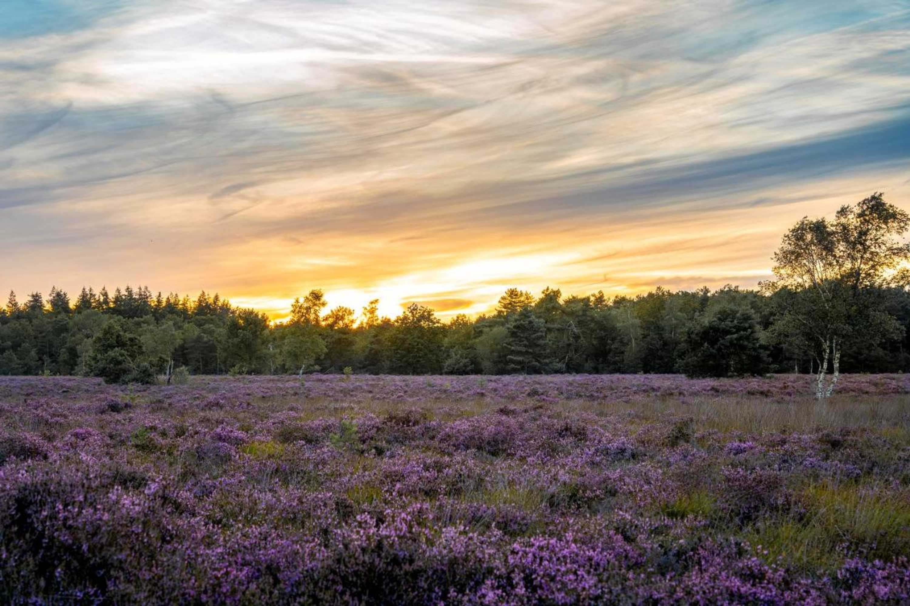 Gift card for Chalet Reewold