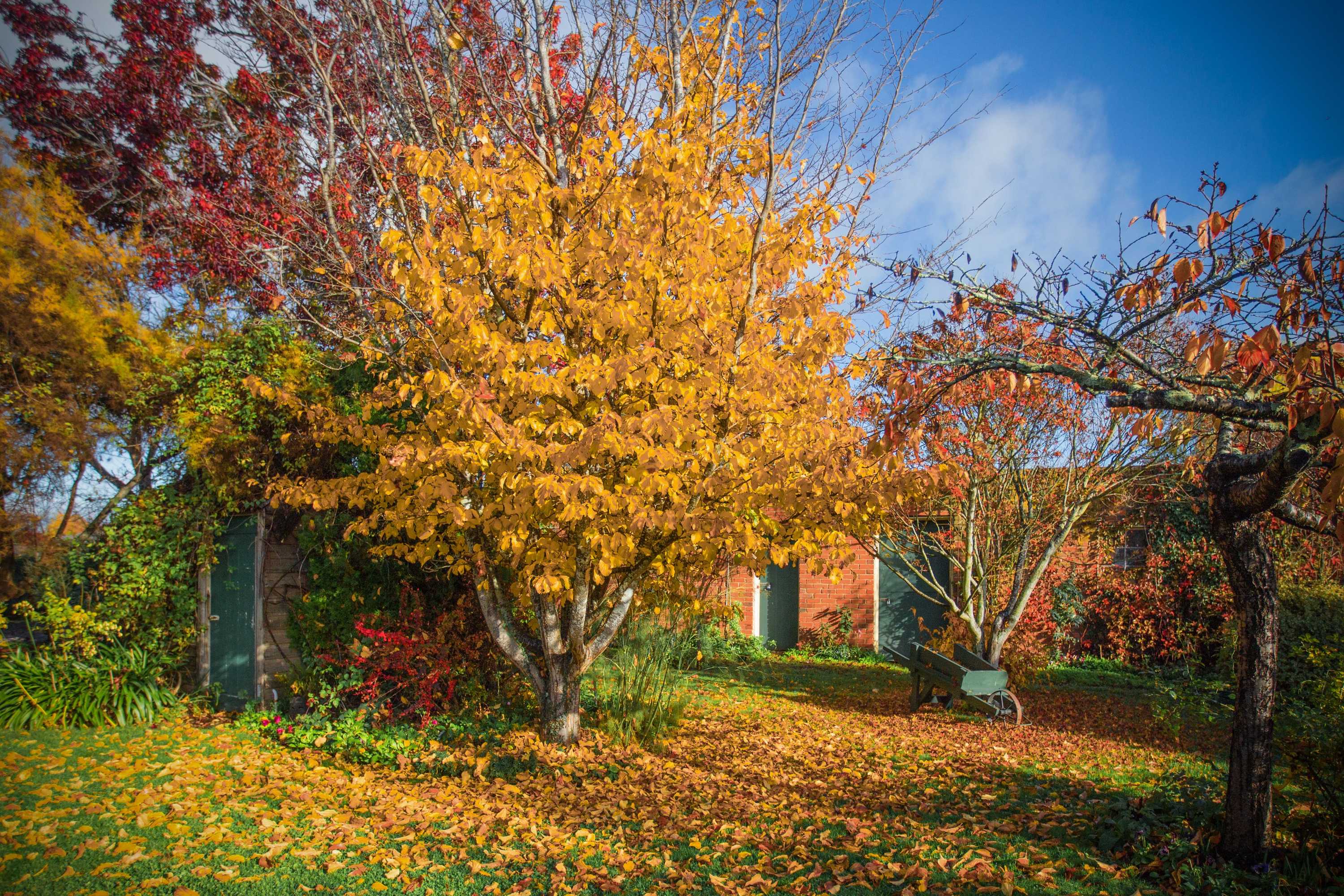 Gift card for The Racecourse Inn