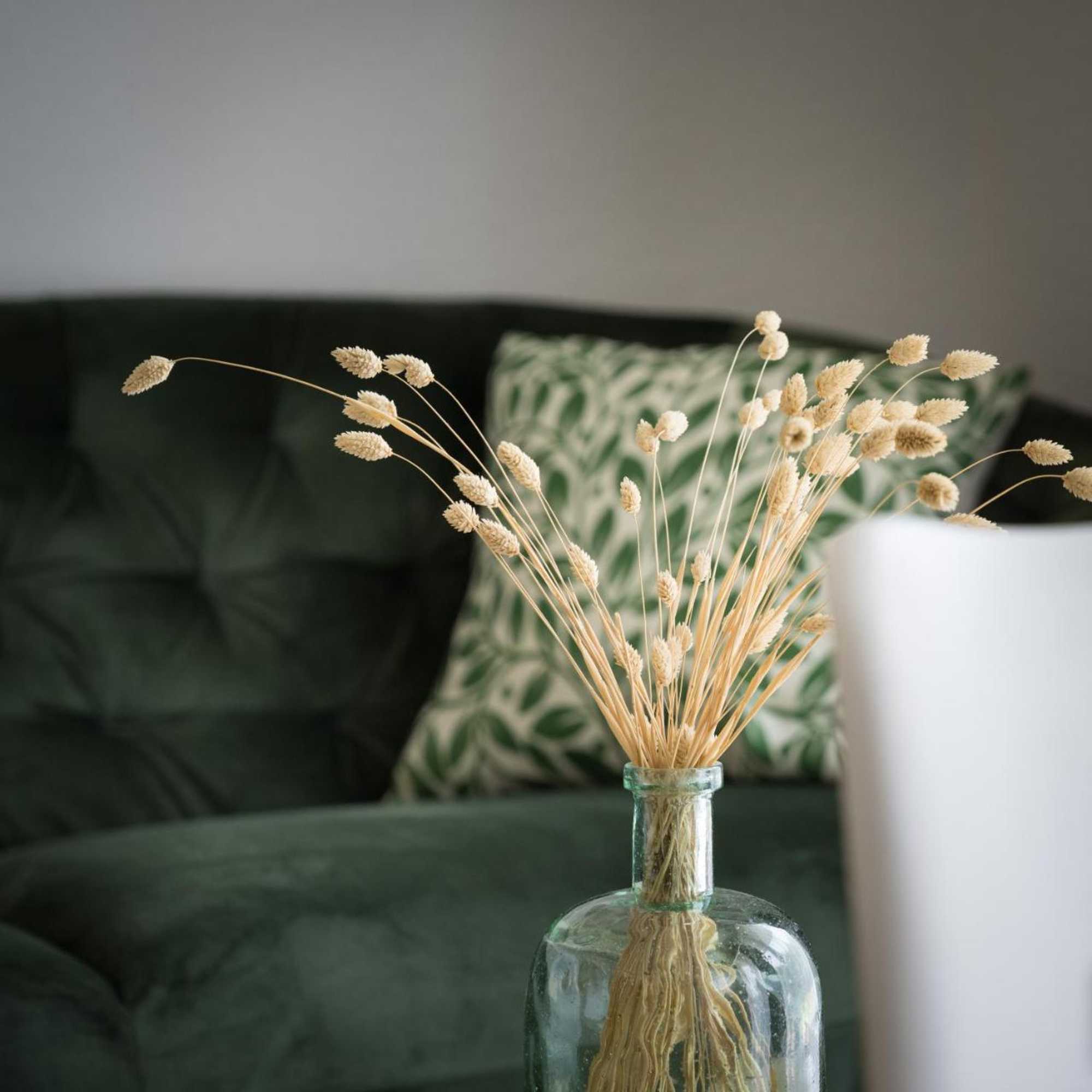 Gift card for Gleuel Inn Apartments