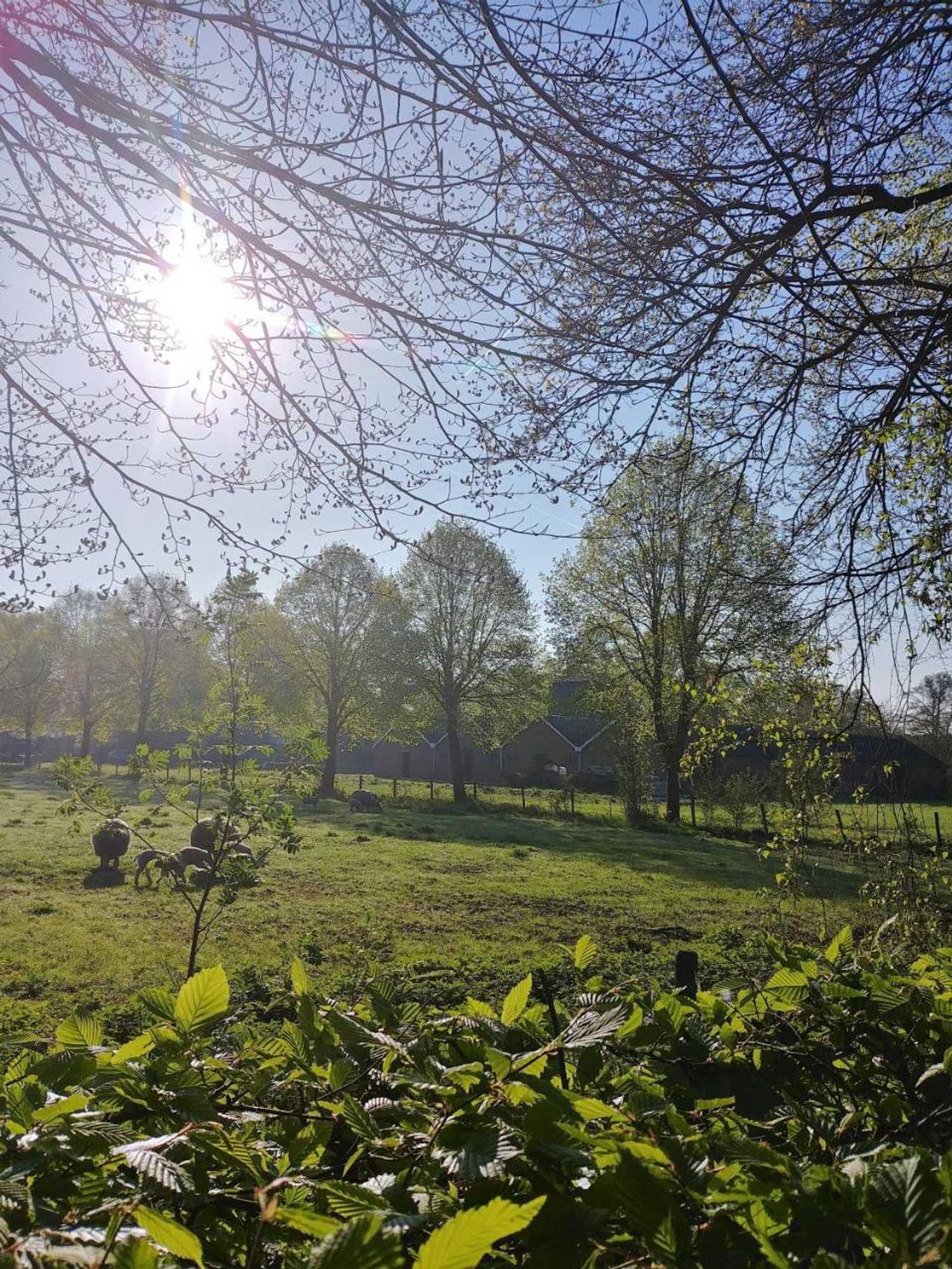 Gift card for 't Rheebokje