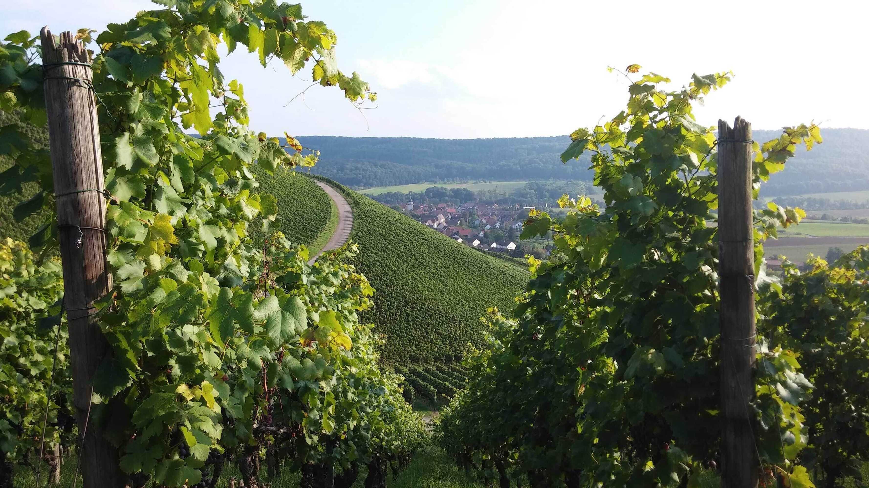 Gift card for Kachelofa