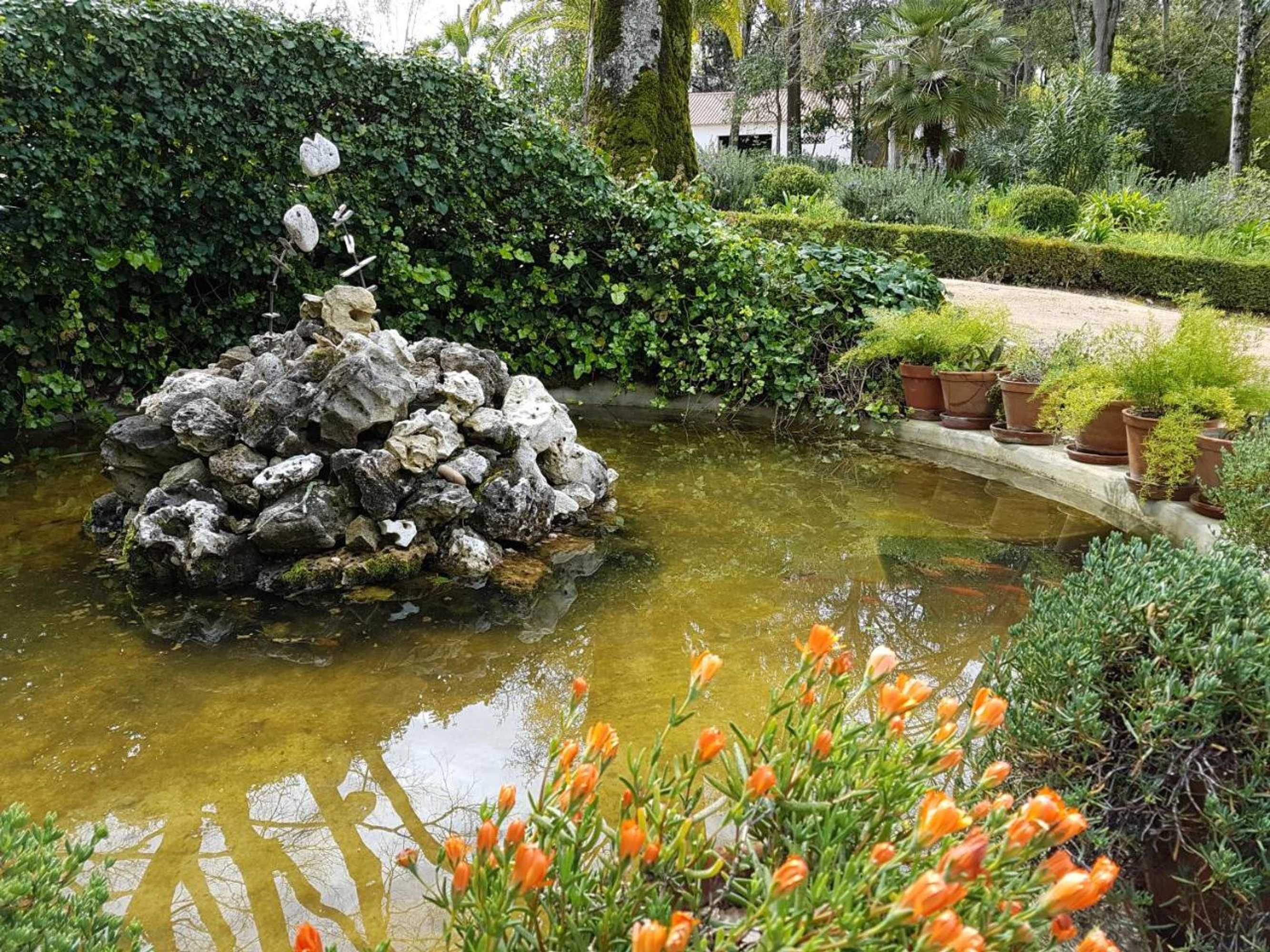 Gift card for Quinta da Bizelga Cottages