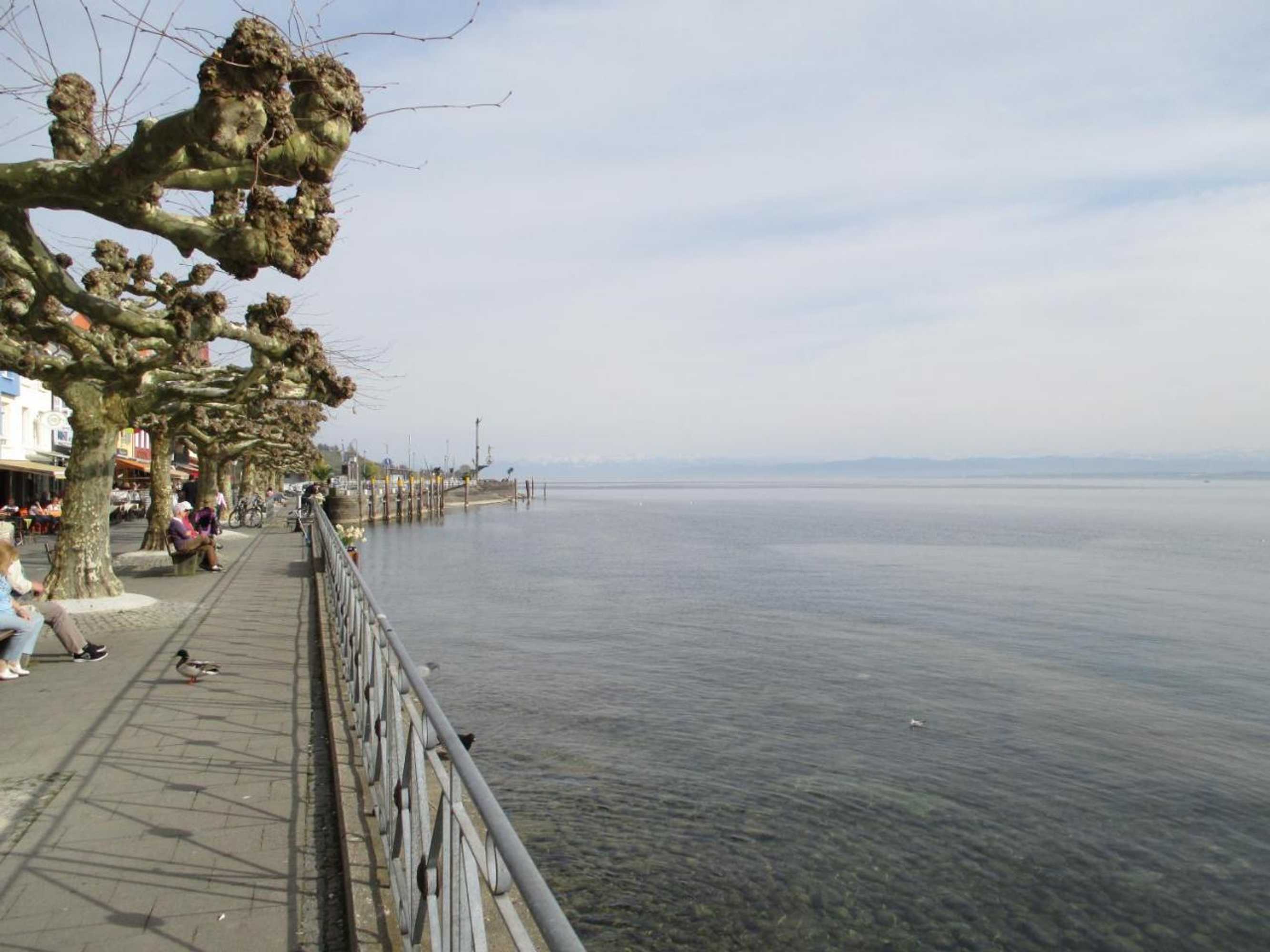 Gift card for Hotel Krone Stühlingen - Das Tor Zum Südschwarzwald