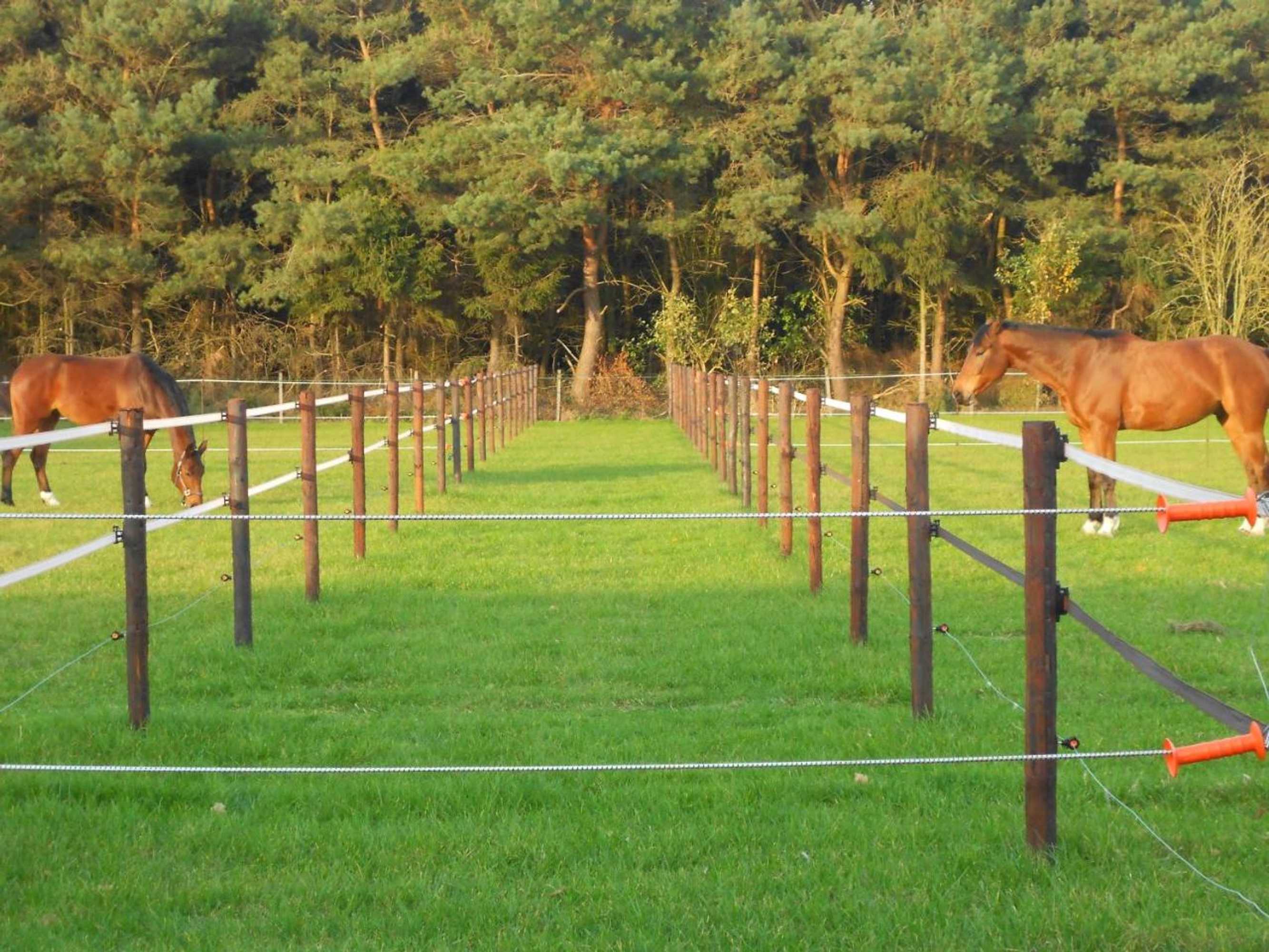 Gift card for B&b Tuin Der Zinnen