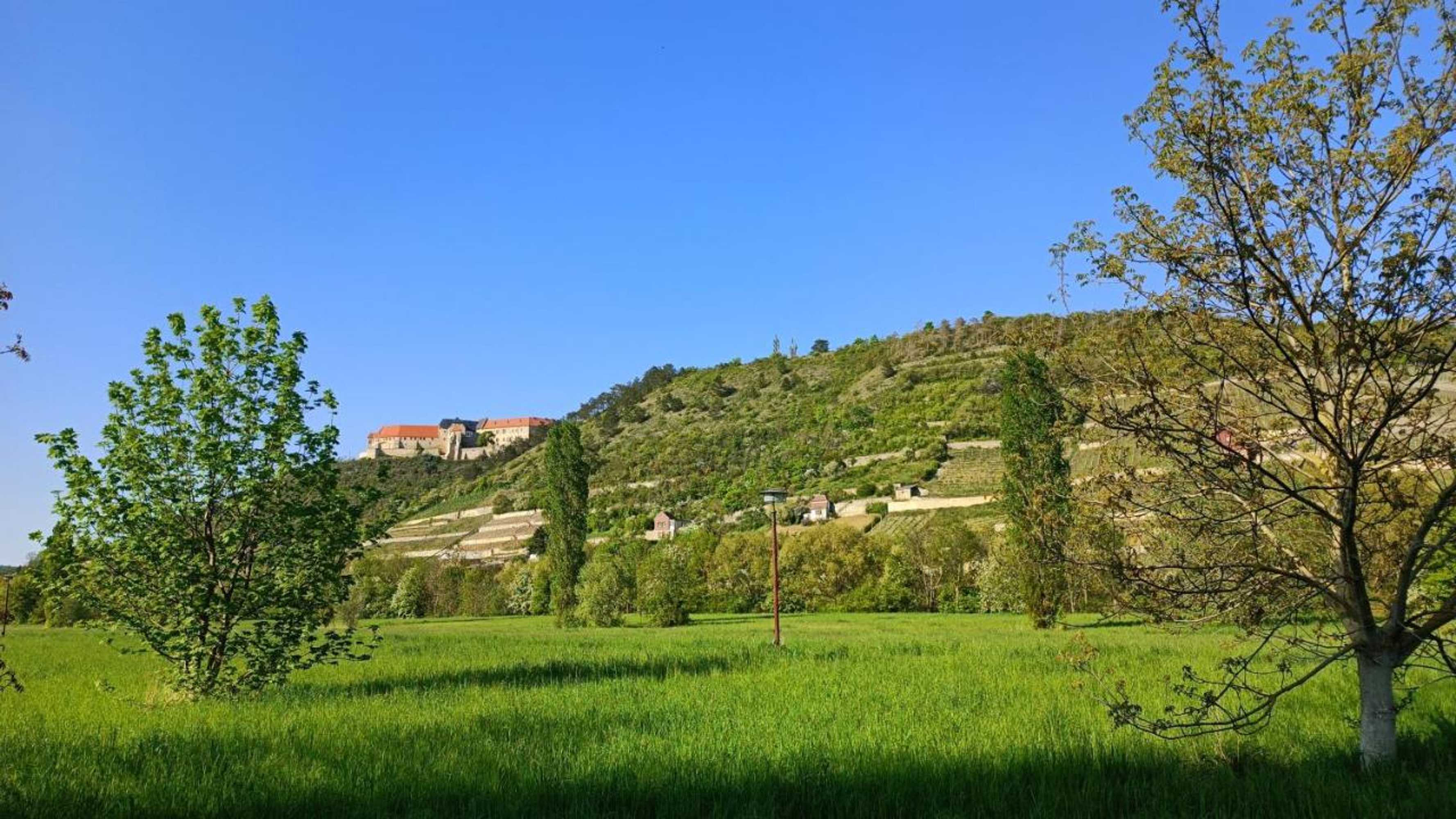 Gift card for Ferienwohnung Alt Freyburg