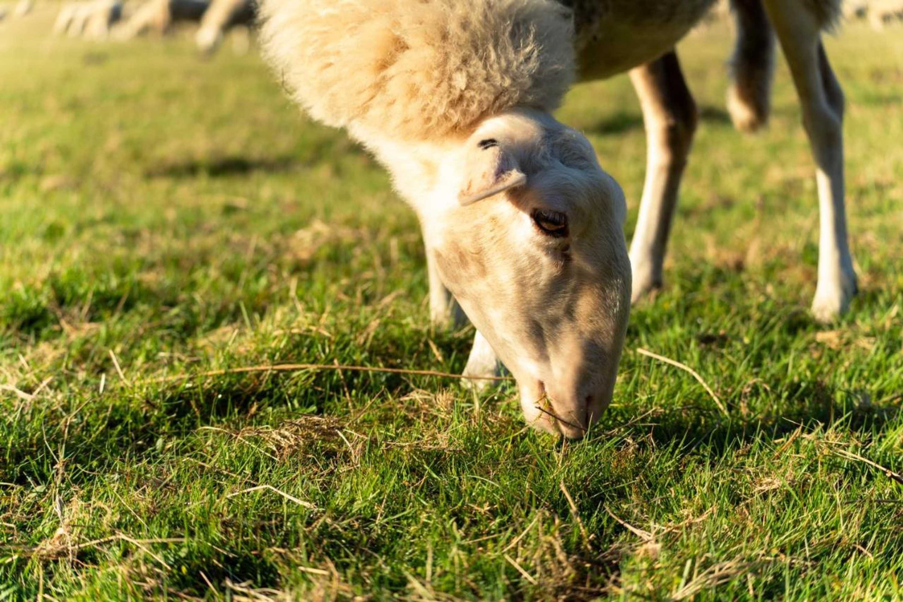 Gift card for Hotel Restaurant 