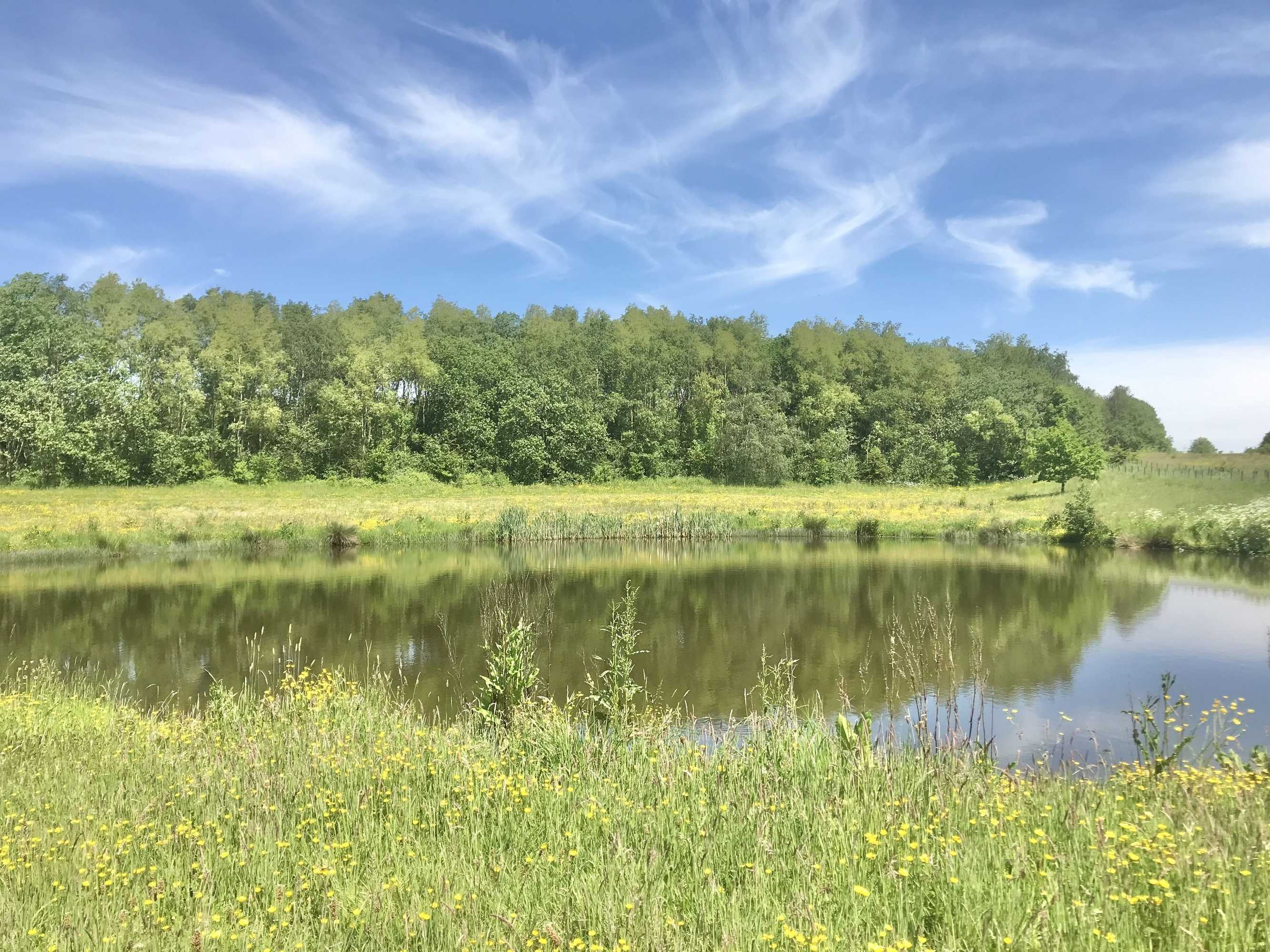 Gift card for Marehay Hall Farm