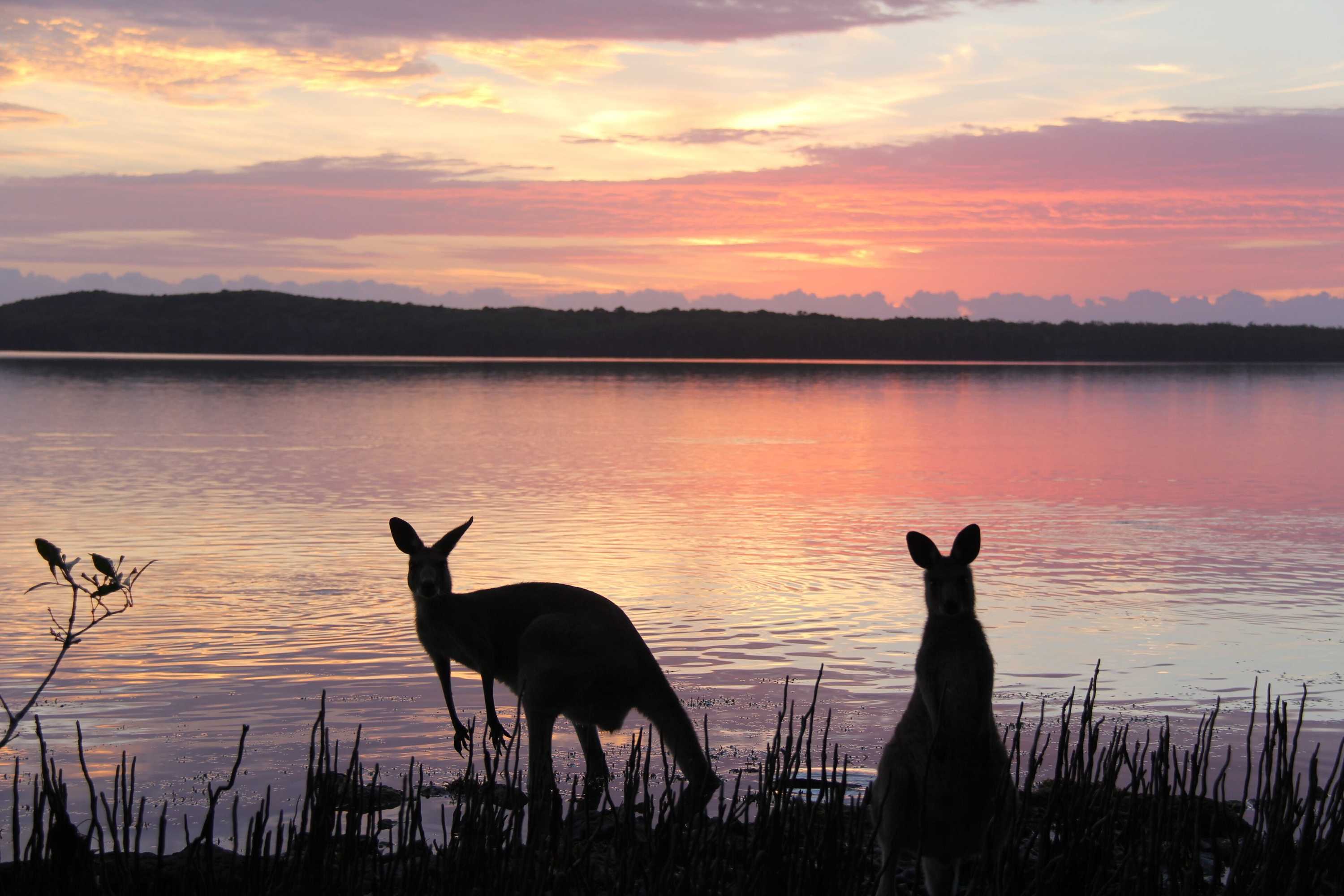 Gift card for Eumarella Shores Noosa Lake Retreat Gift card for Eumarella Shores Noosa Lake Retreat