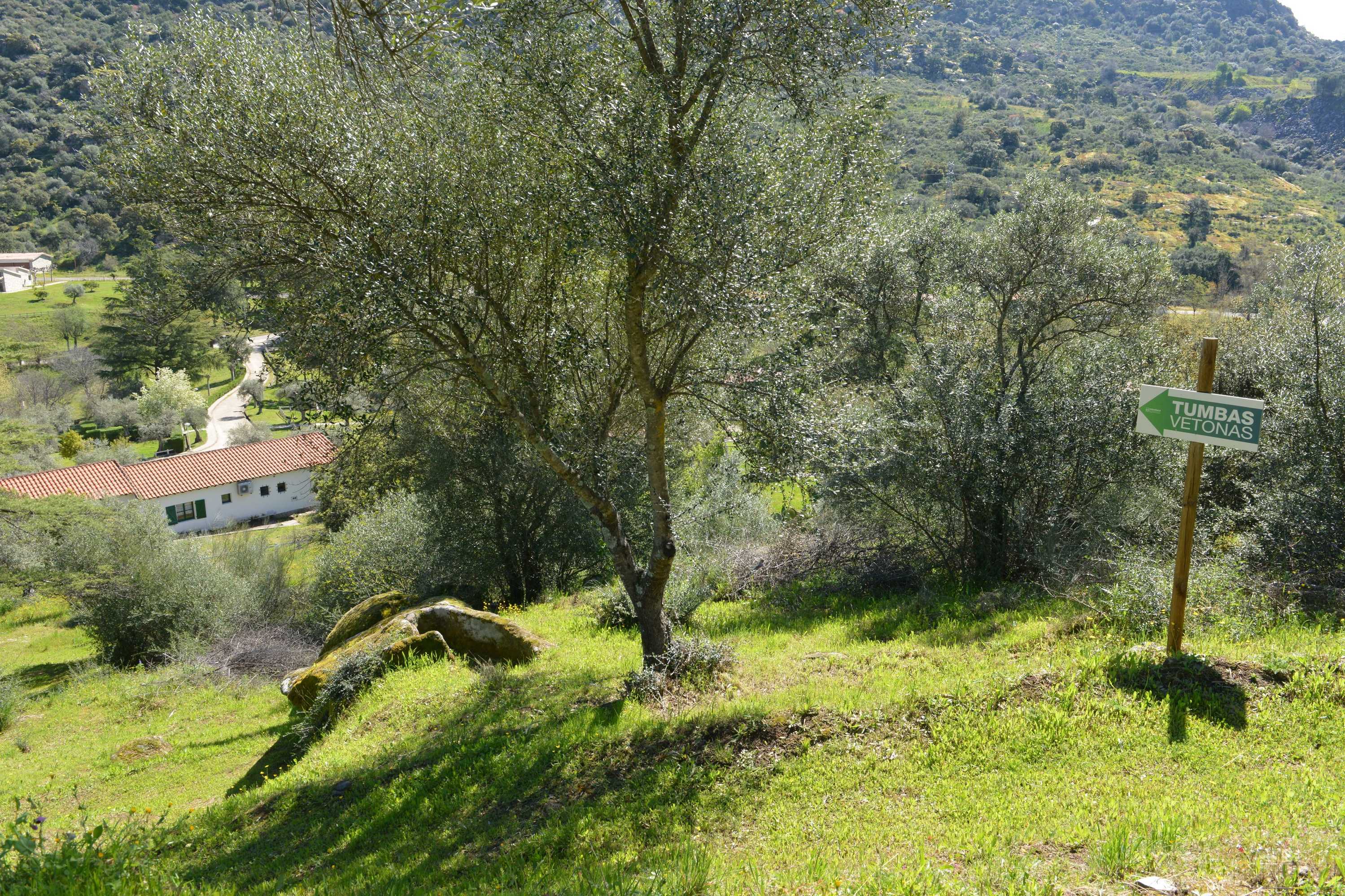 Gift card for Casas Rurales Aldeaduero Gift card for Casas Rurales Aldeaduero