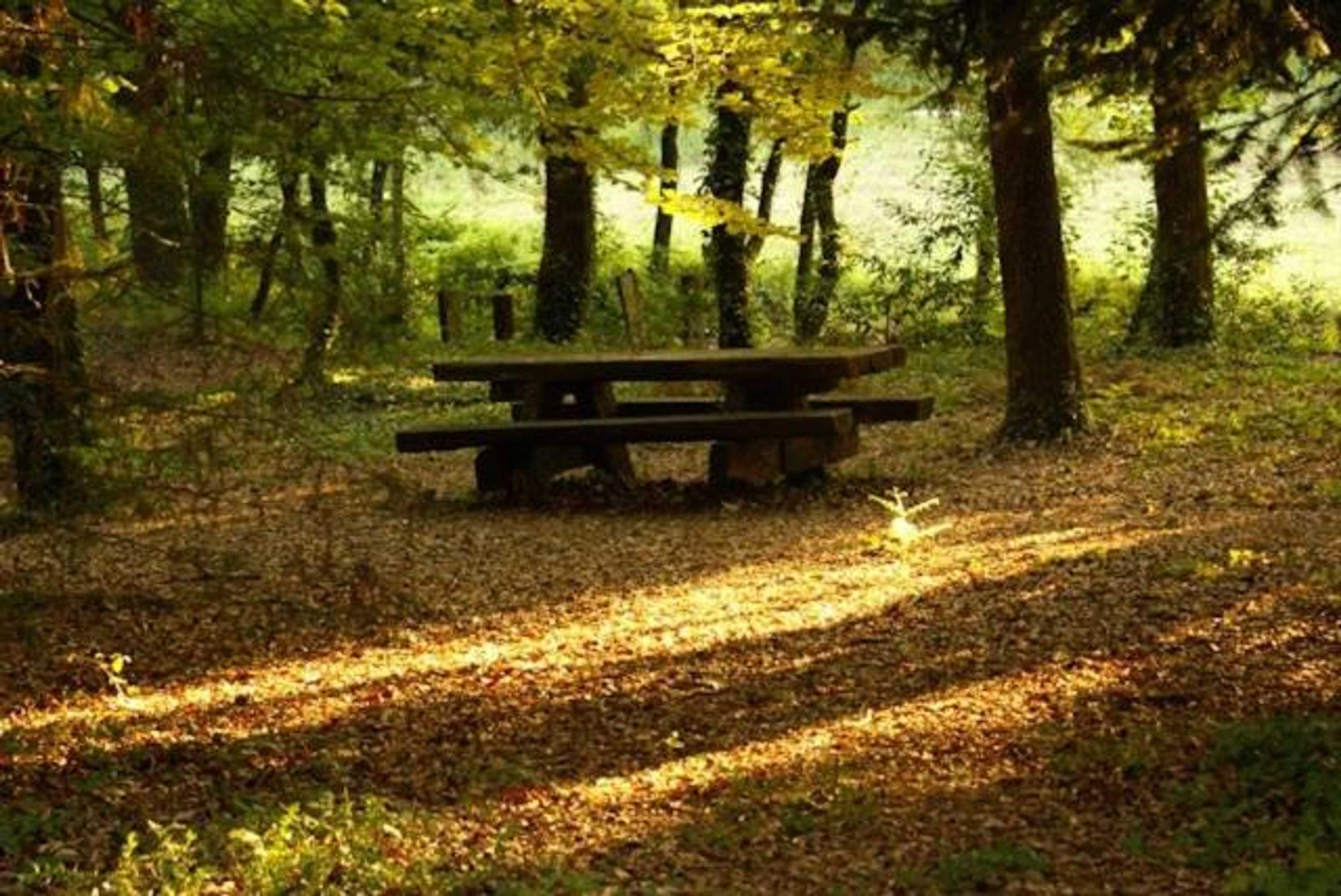 Gift card for Quinta da Fontoura