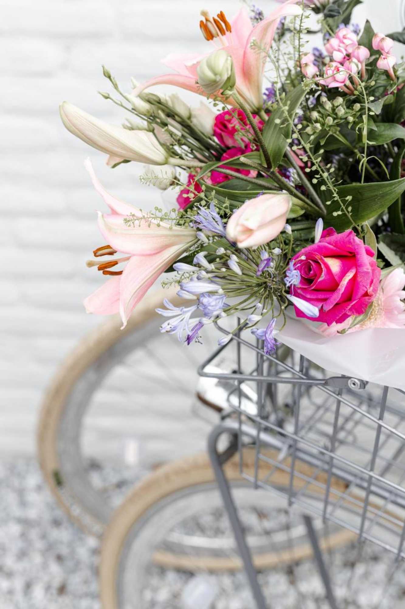 Gift card for B&b Studiolke