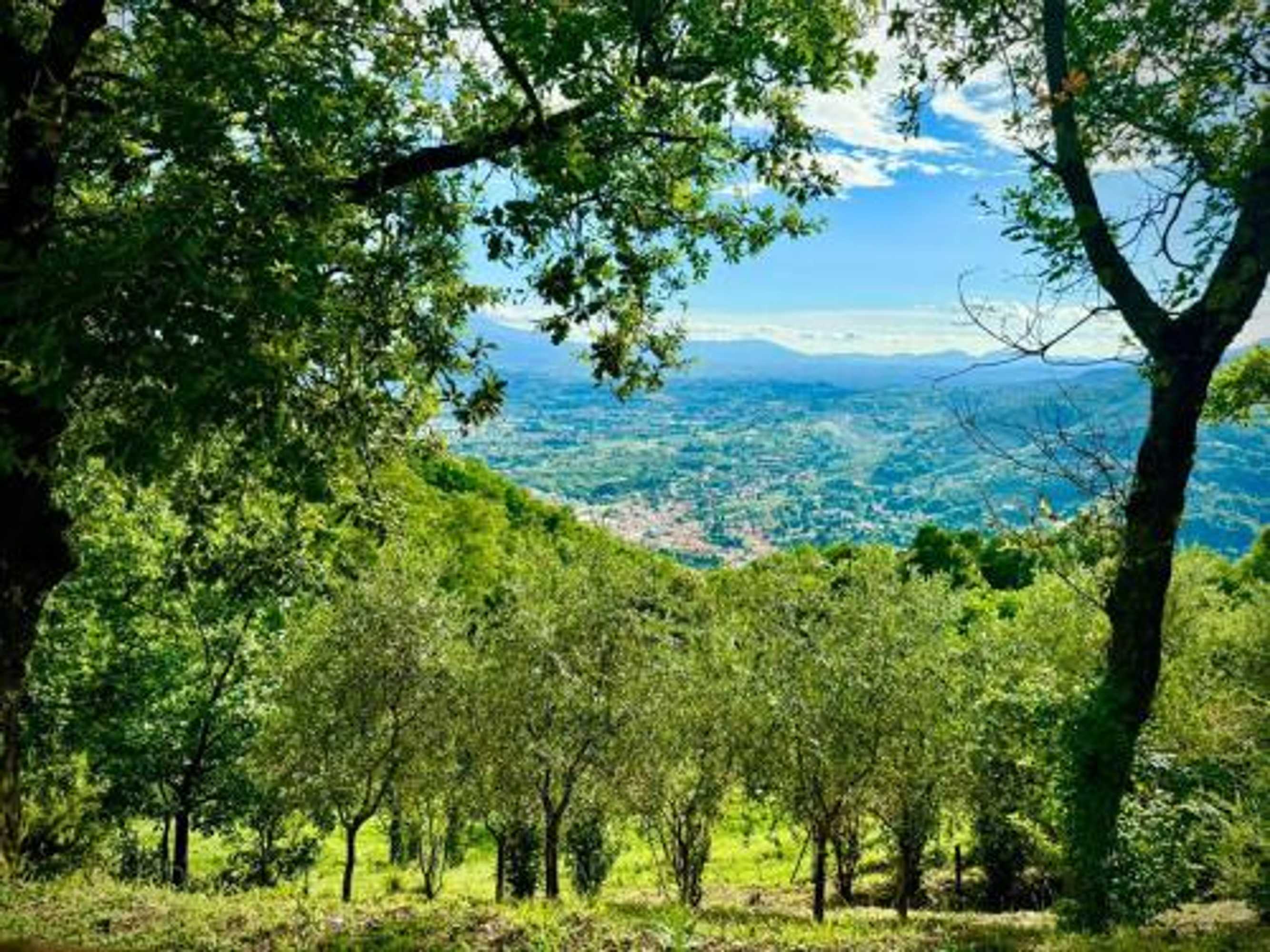 Gift card for Villa Nel Verde | Civico 2 Gift card for Villa Nel Verde | Civico 2