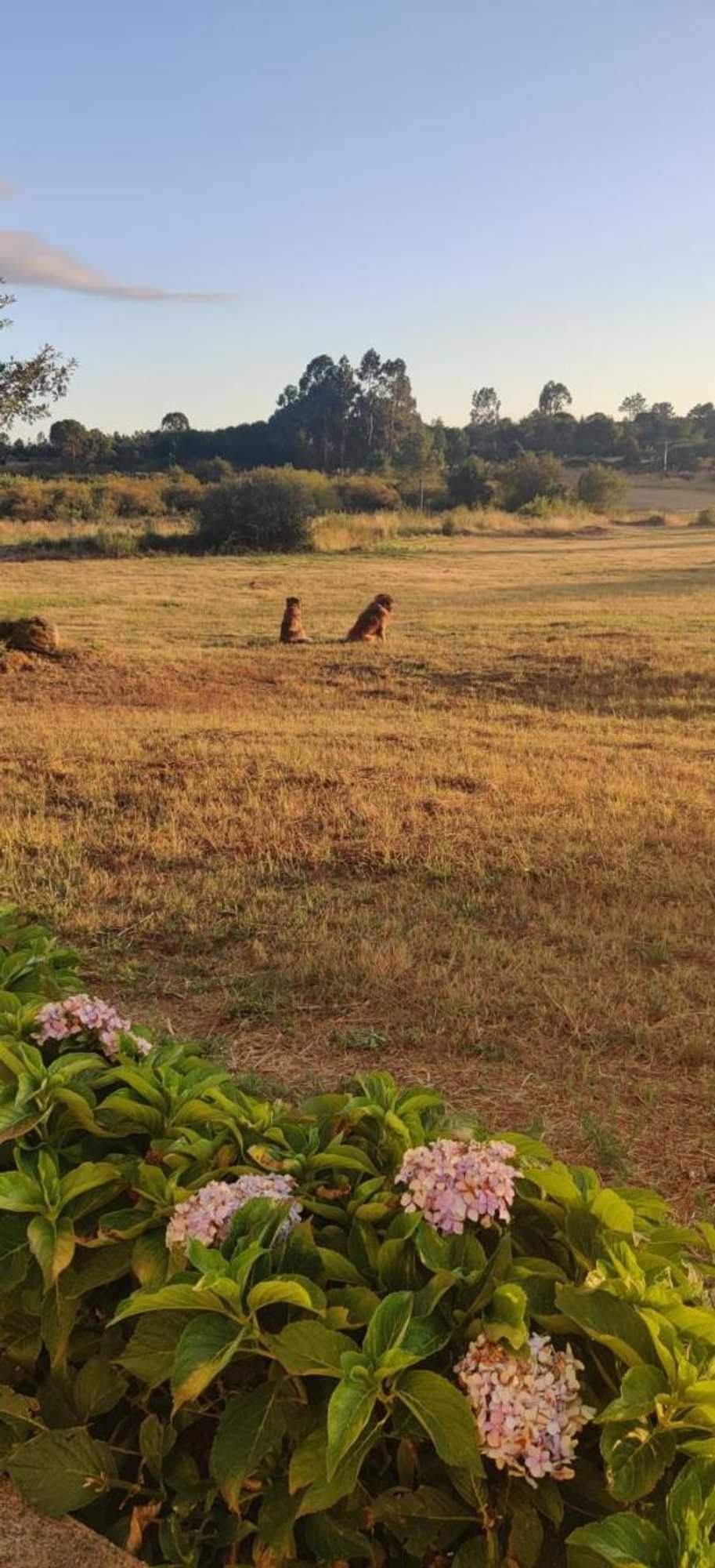 Gift card for Quinta Damigo