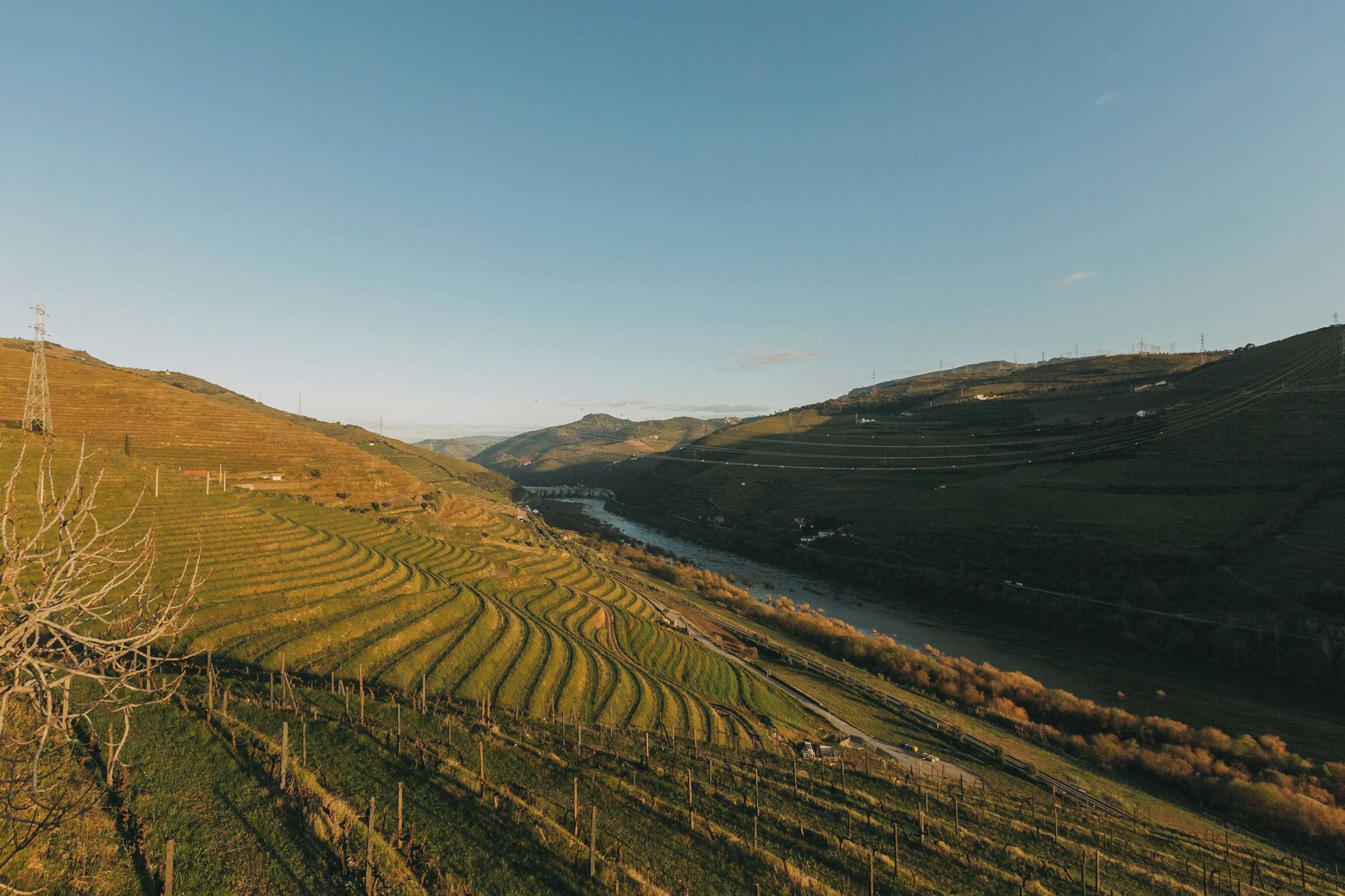 Gift card for Torel Quinta da Vacaria - Douro Valley Gift card for Torel Quinta da Vacaria - Douro Valley