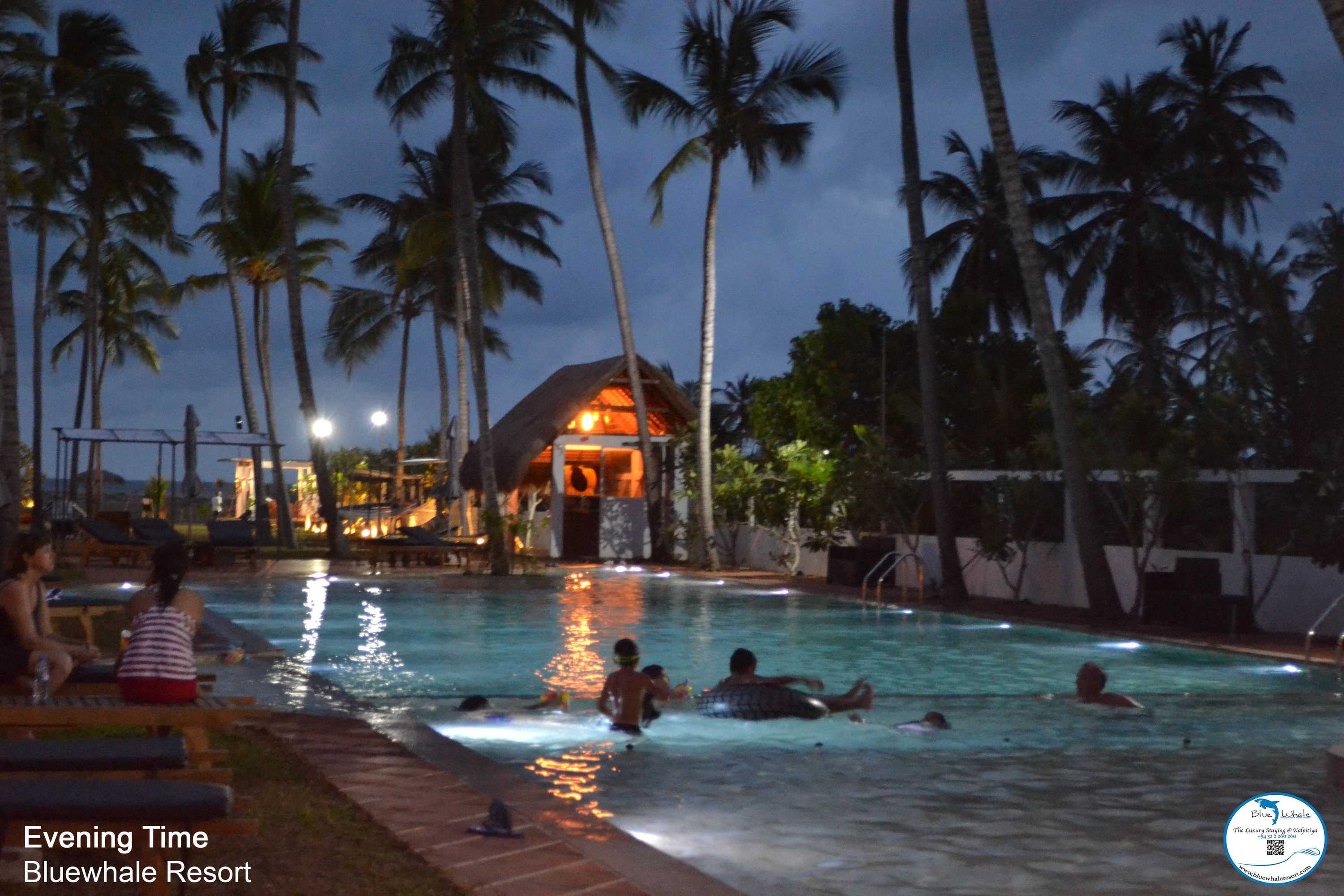 Gift card for Blue Whale Beach Boutique Resort Gift card for Blue Whale Beach Boutique Resort