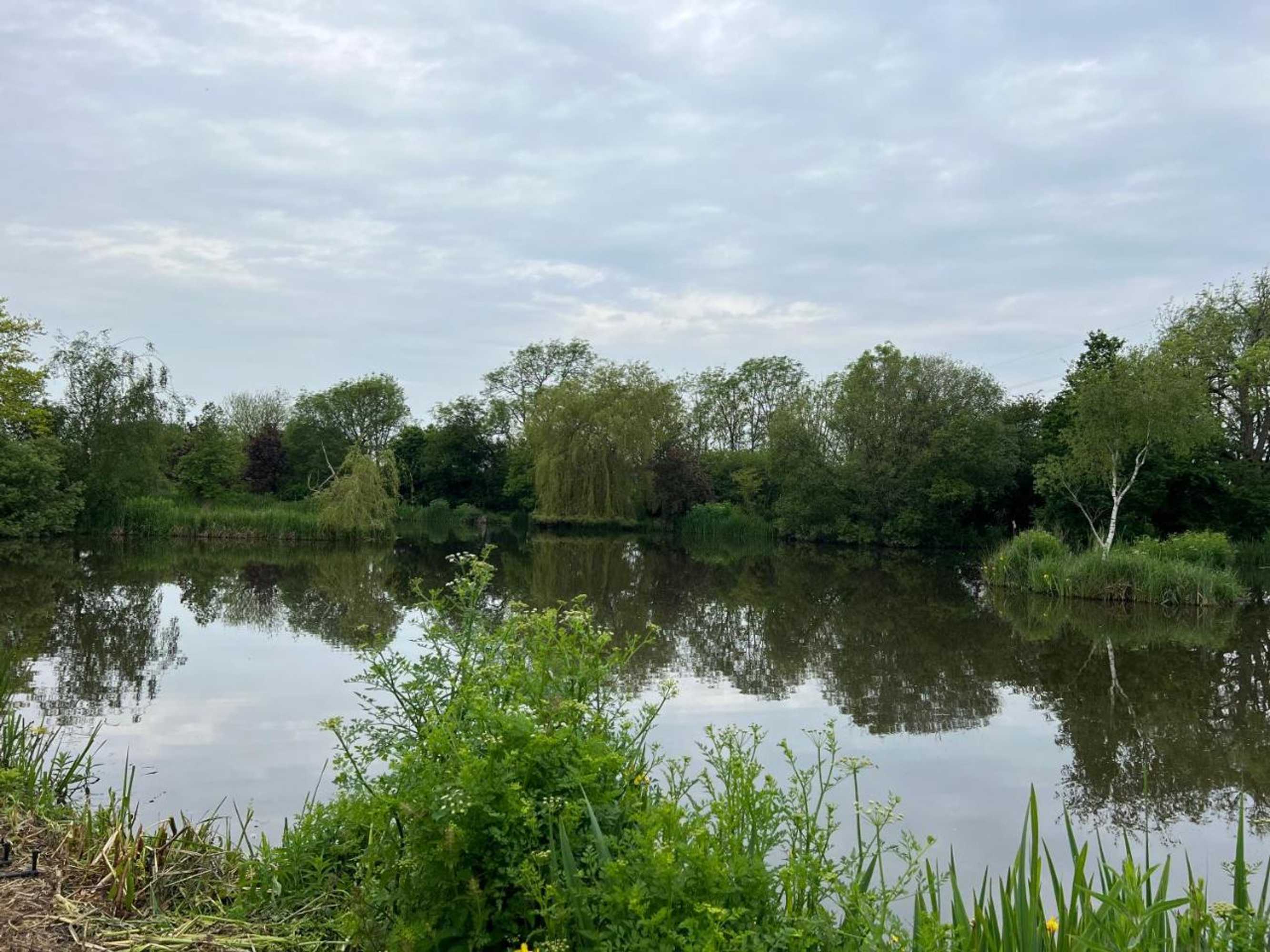 Gift card for Amber Lodge Hickstead-B