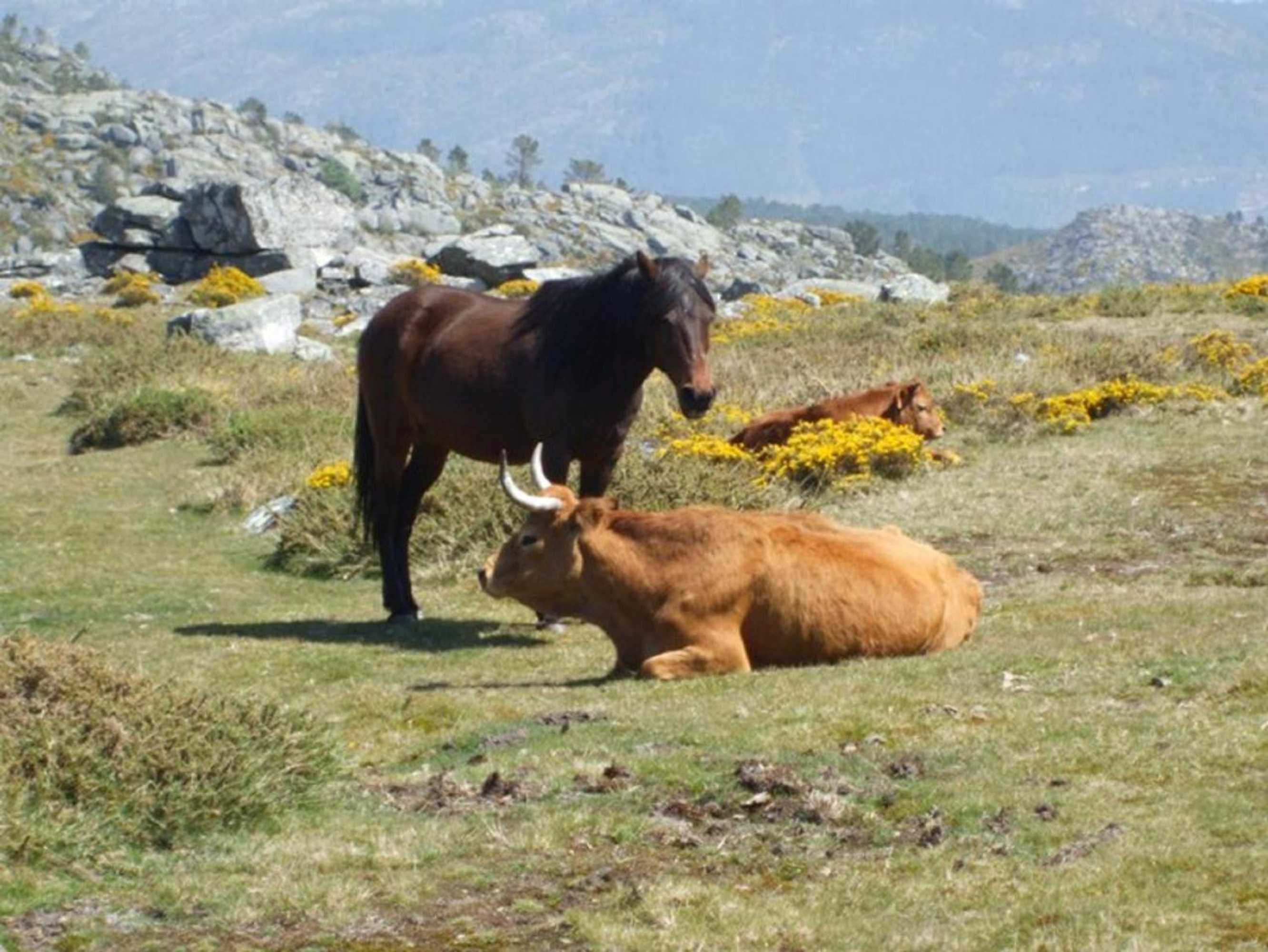 Gift card for Quinta da Costeira