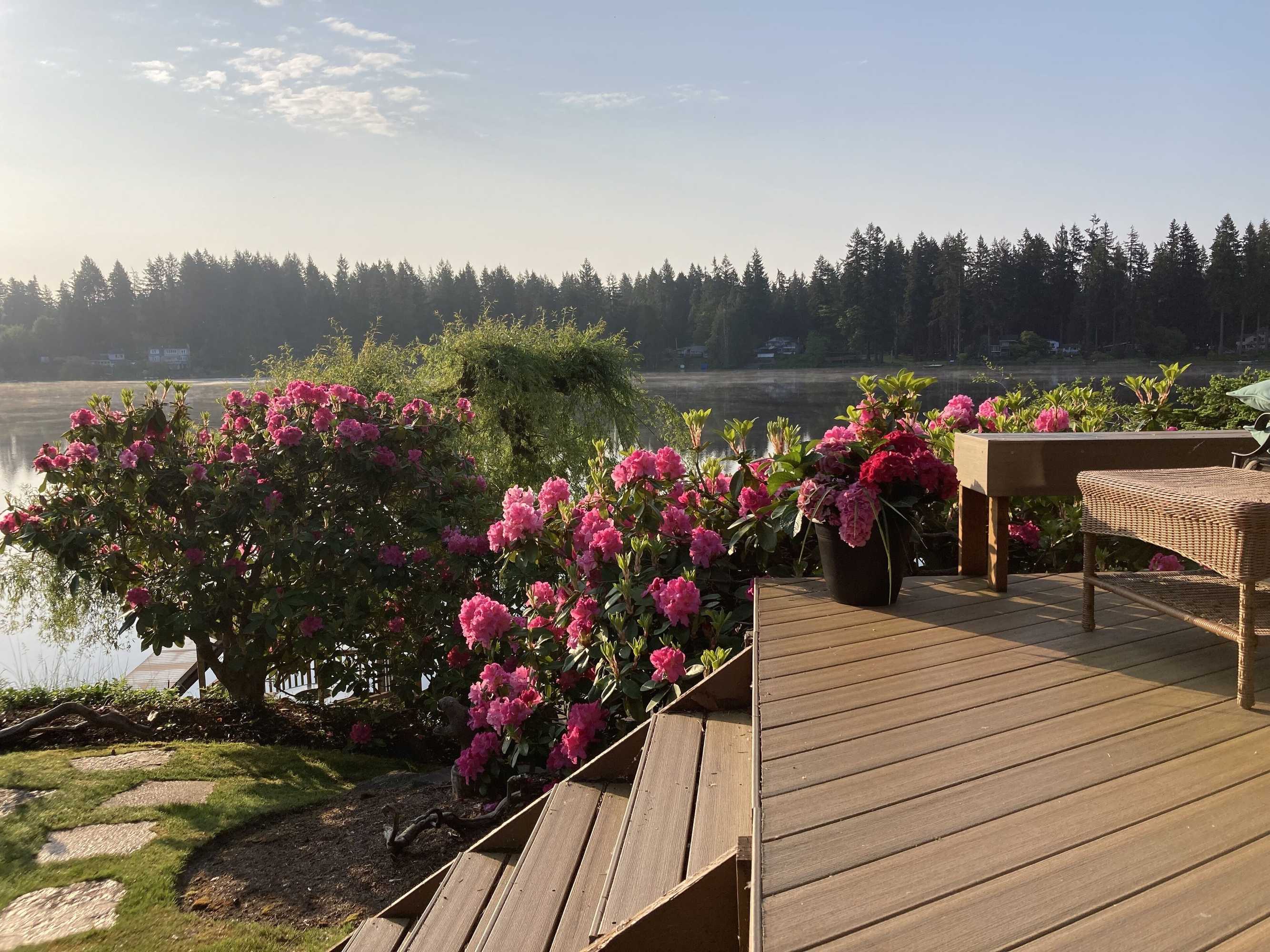 Gift card for Cottage Lake Bed And Breakfast Gift card for Cottage Lake Bed And Breakfast