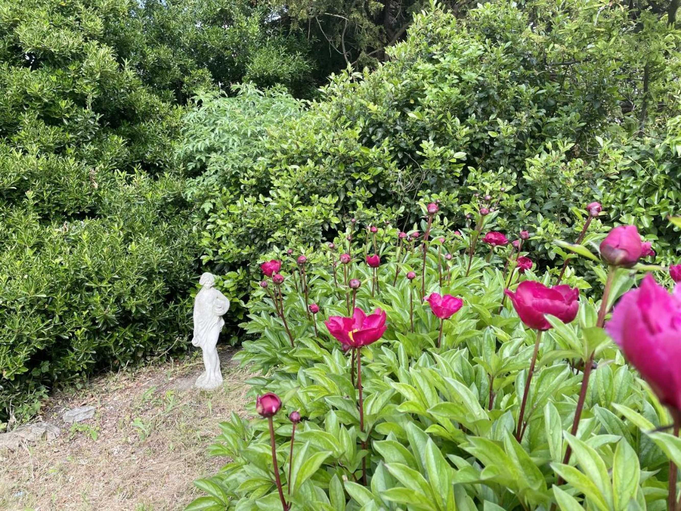 Gift card for The Mount B&b Somerton