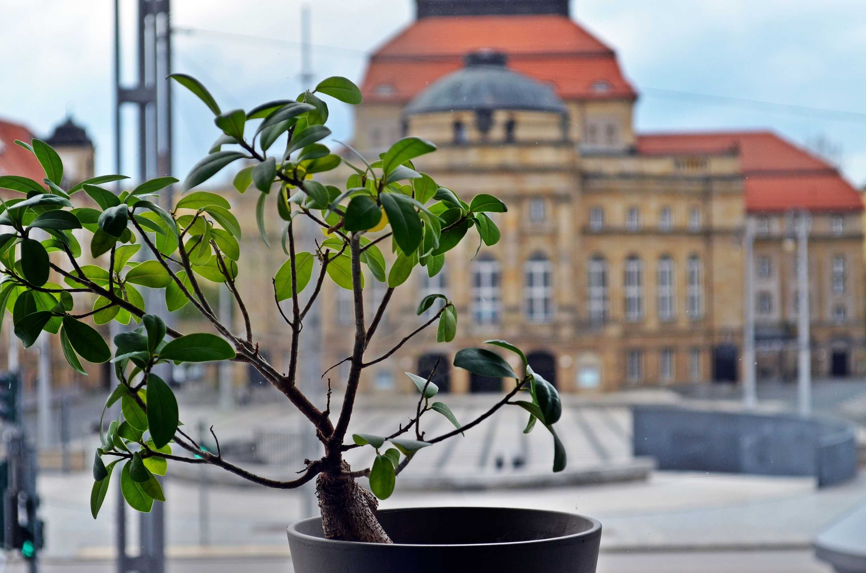 Gift card for Hotel an Der Oper Gift card for Hotel an Der Oper