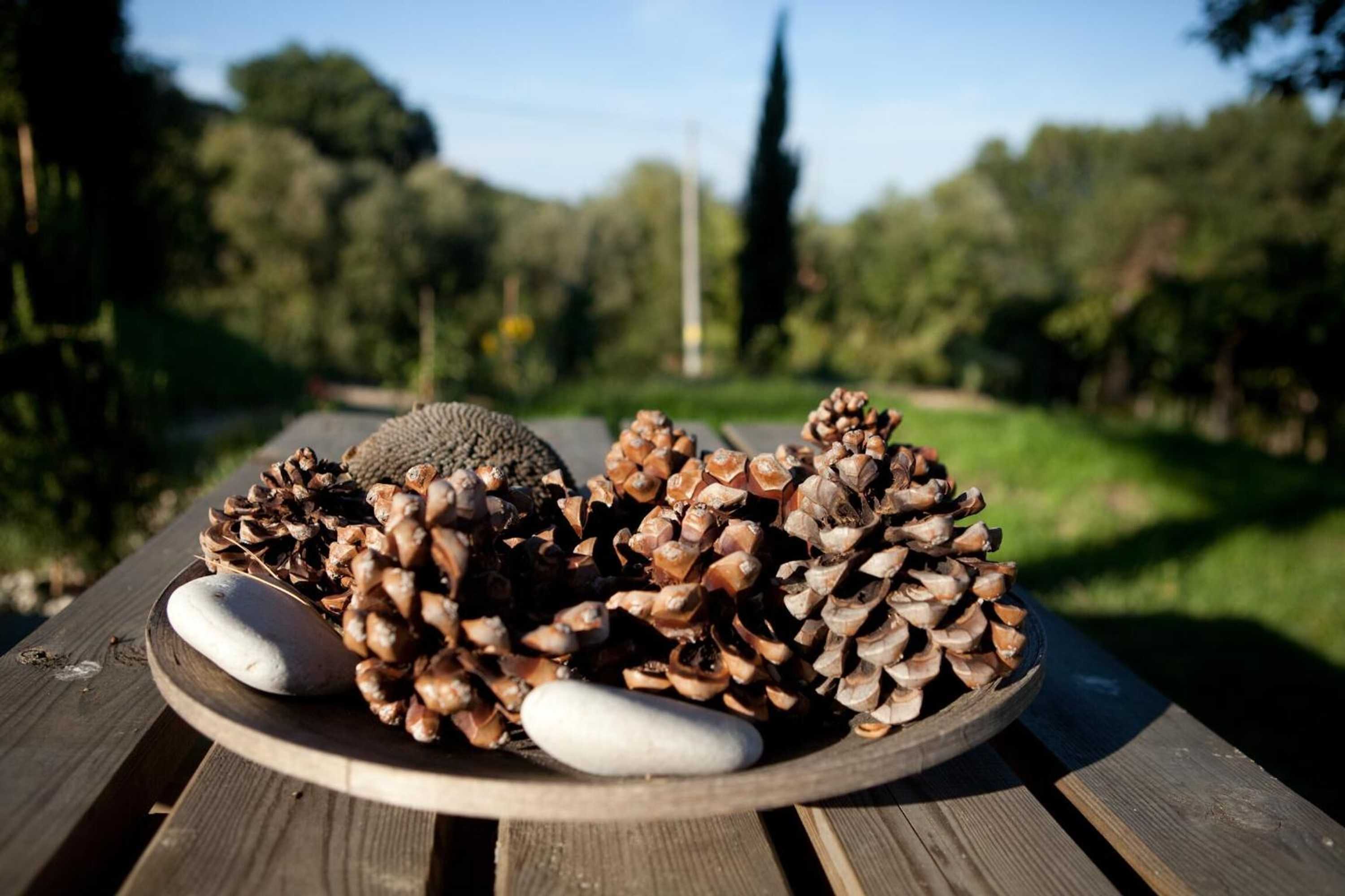 Gift card for Agriturismo Casa Dell'orto Gift card for Agriturismo Casa Dell'orto
